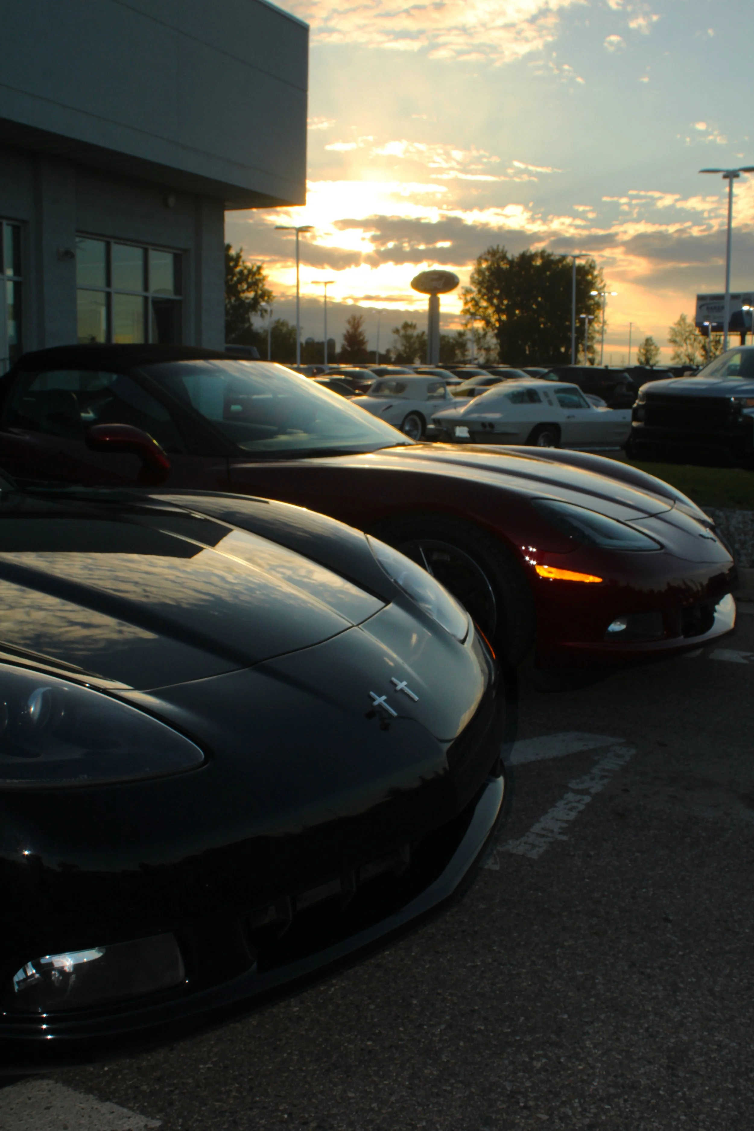 corvette120.jpg