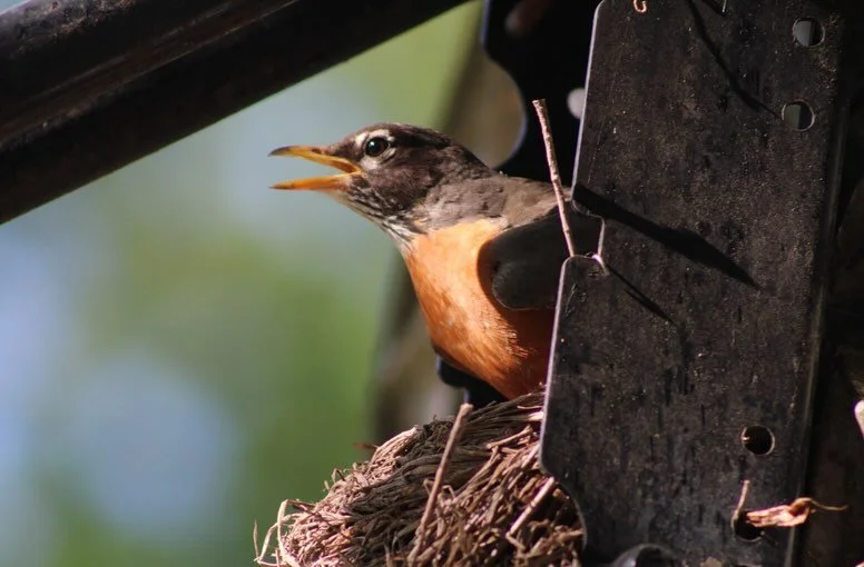 It was beautiful spring morning🌸🌼🌷