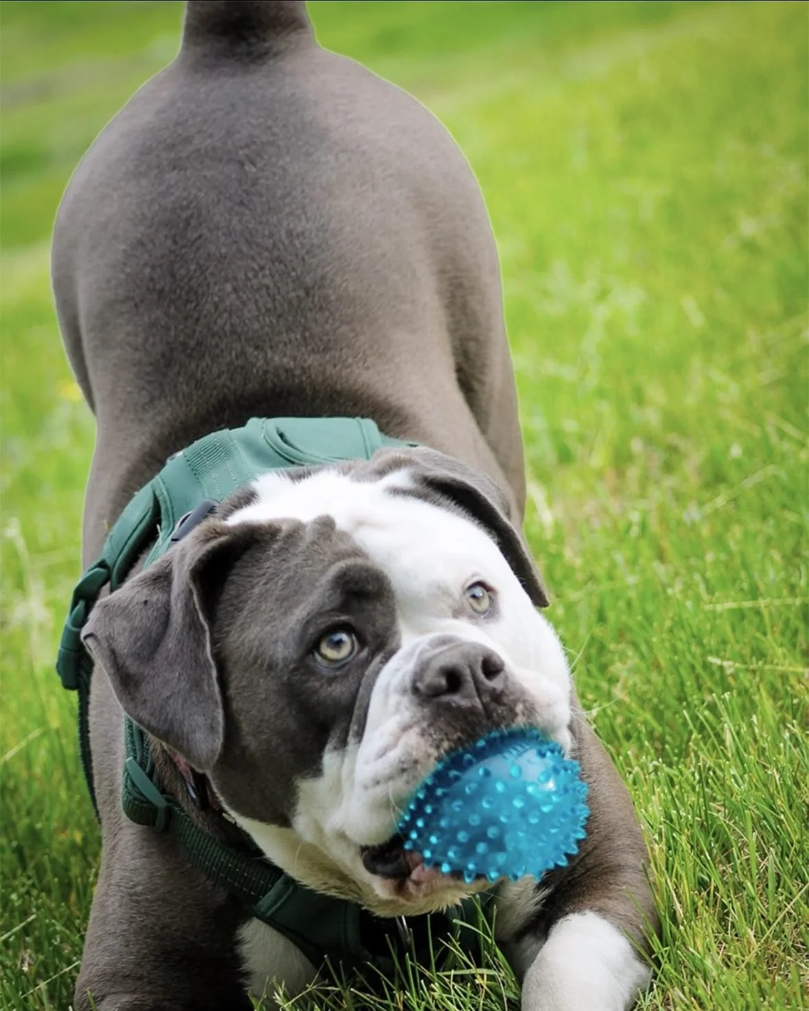 Memorial day memories at the cabin<3