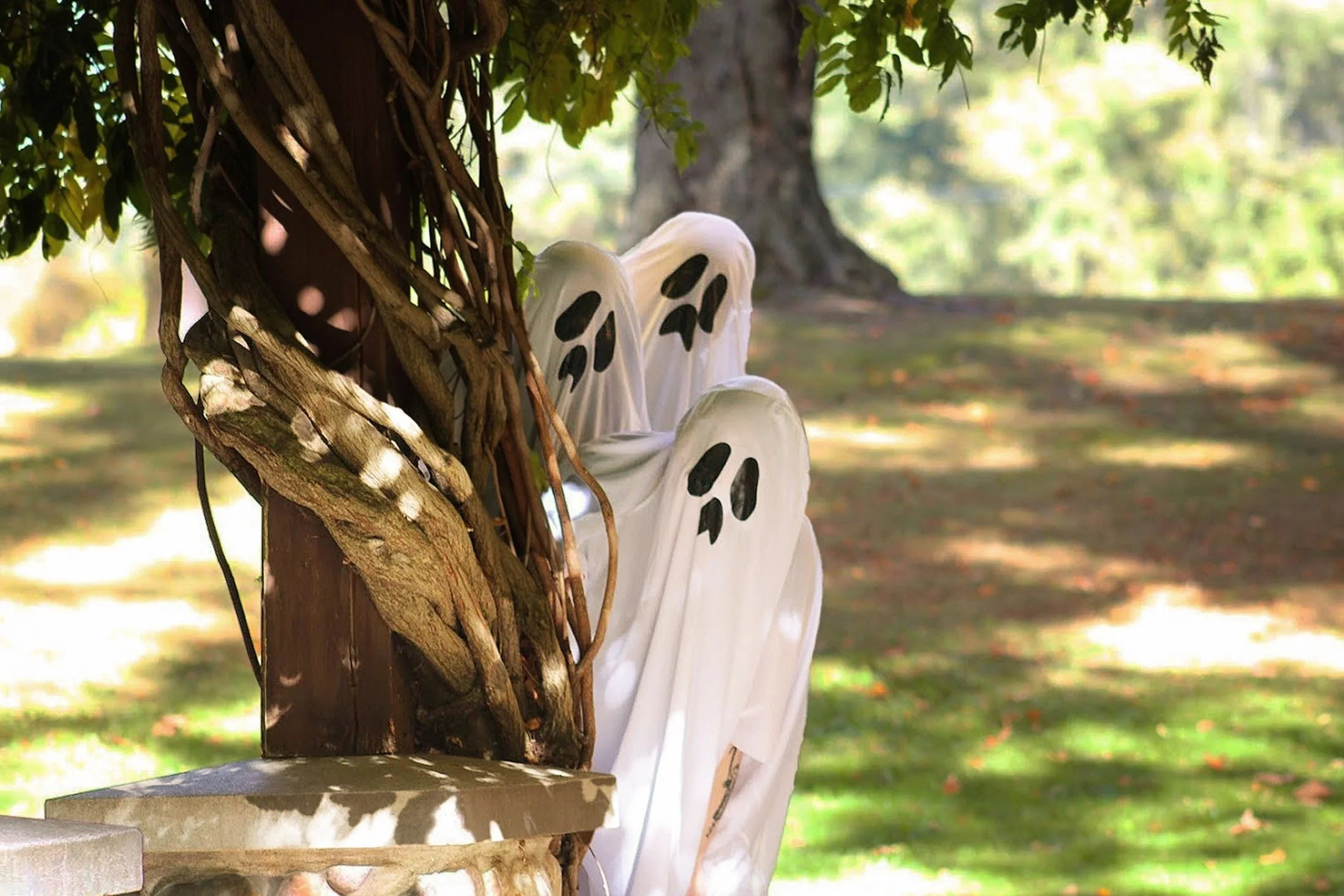 *hs16_Original 2.JPG