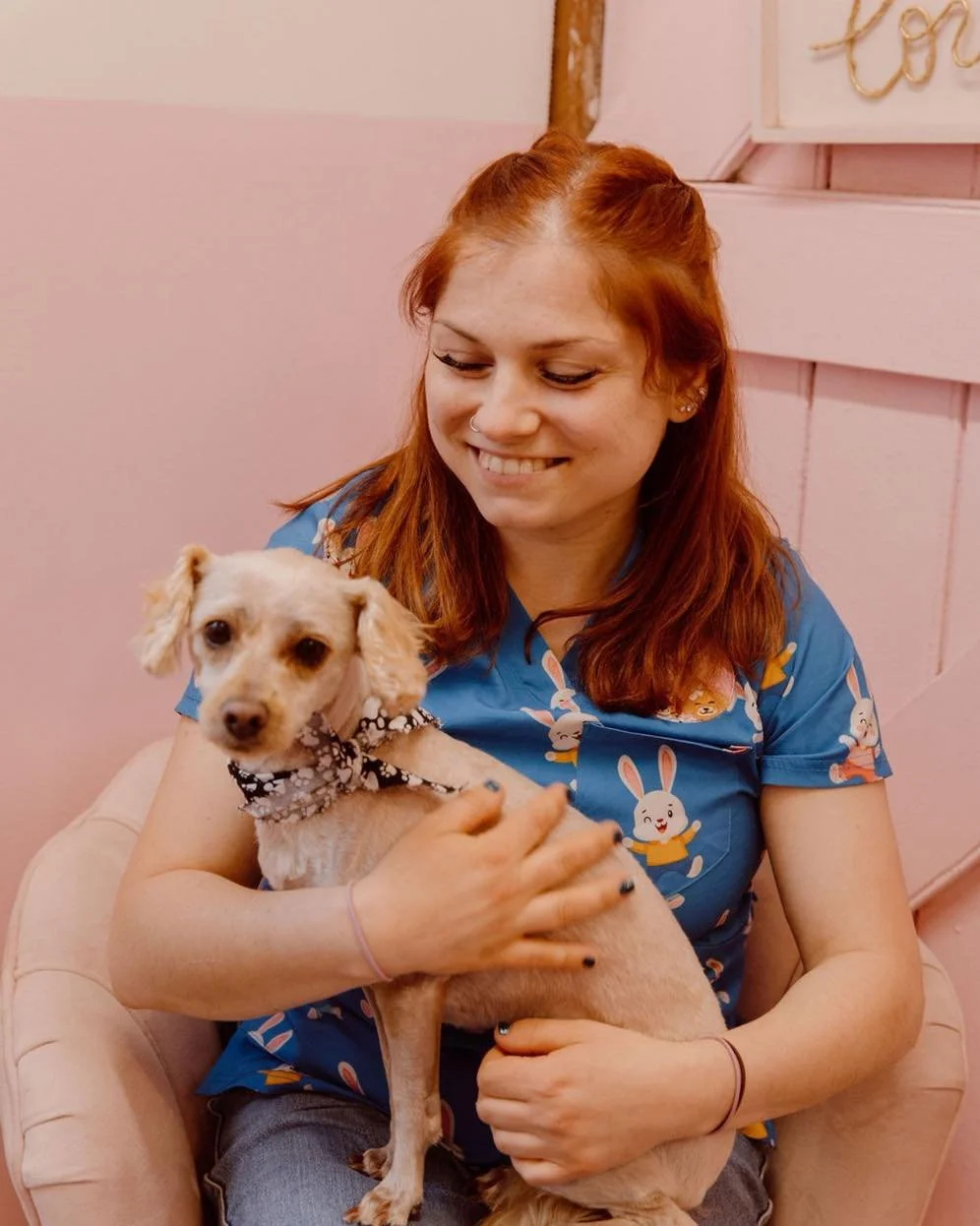 Holiday Tip 🐶🎄

Traveling with your furry pal this holiday season? Make sure to plan ahead! Book pet-friendly accommodations and transport well in advance, pack all their essentials (food, water, meds, toys), and ensure they're comfy and secure dur