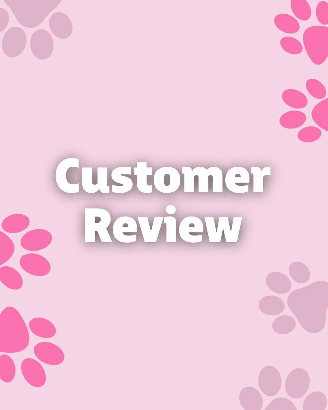 Thank you Taylah for your amazing review! We truly appreciate your support 🫶🏼

&ldquo;We recently purchased dog treats from Nic and Teddy our dog absolutely loves them! He is normally quite fussy and not overly interested in treats, so we were hone
