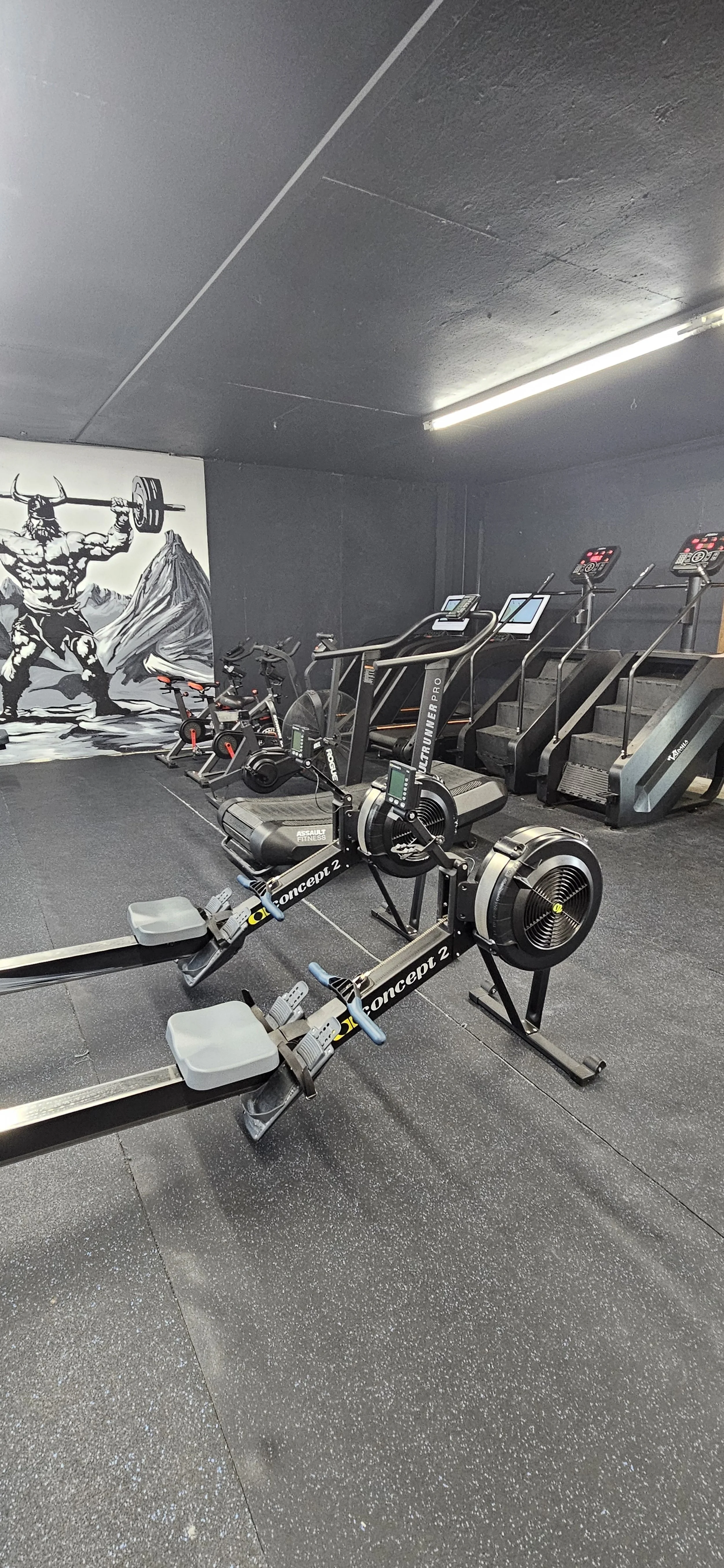 A gym with various exercise equipment including rowing machines, treadmills, an exercise bike, and a mural of a muscular Viking lifting a barbell with mountains in the background.