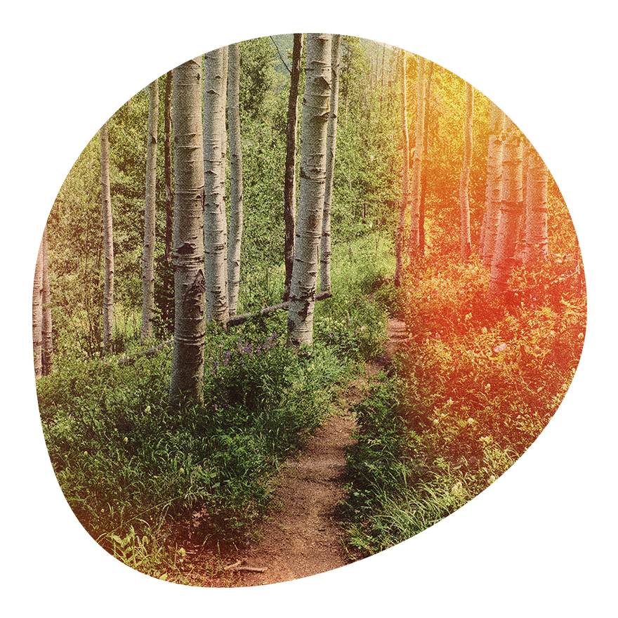 Vail Resorts Epic Summer