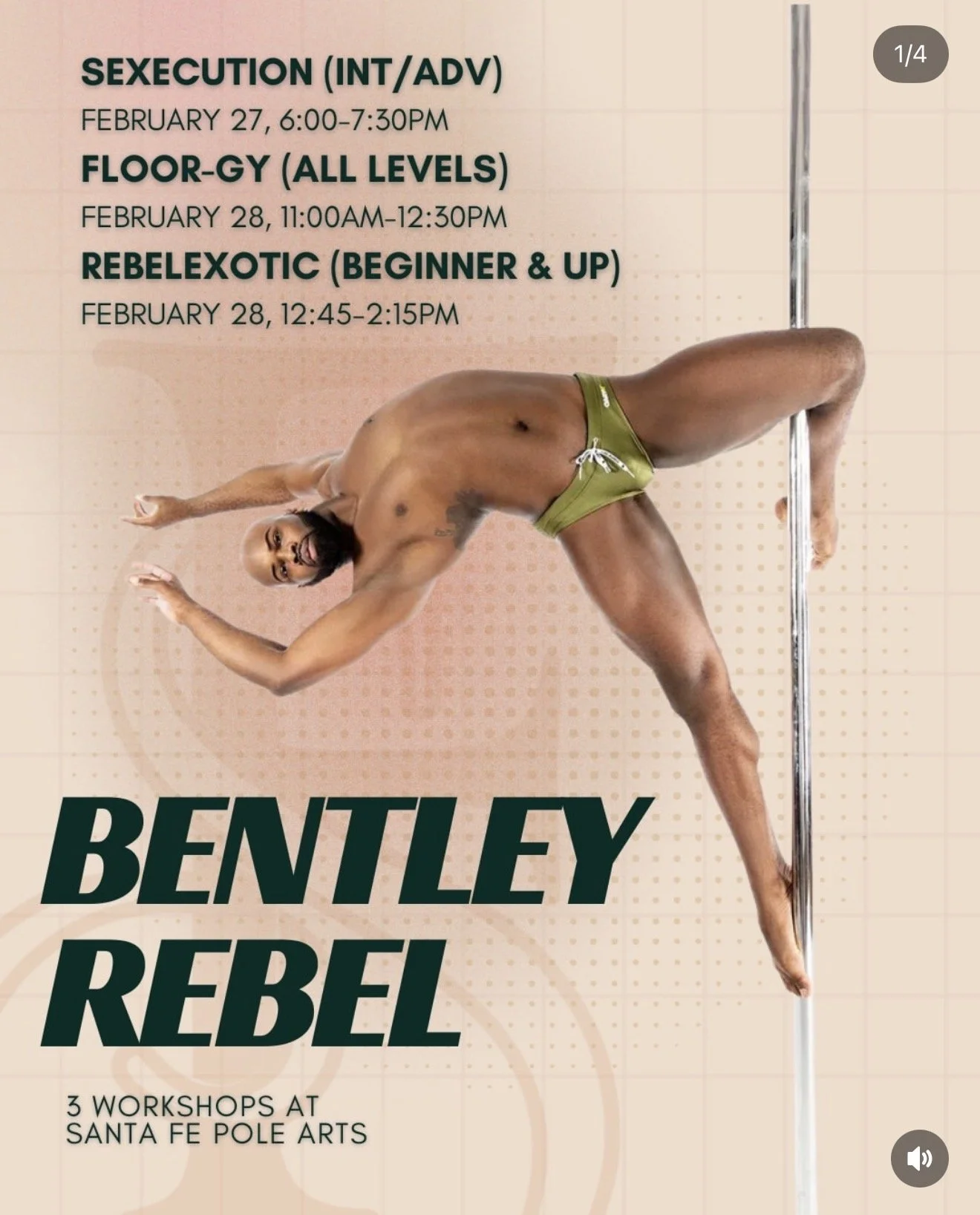 Santa Fe Workshops- New Mexico