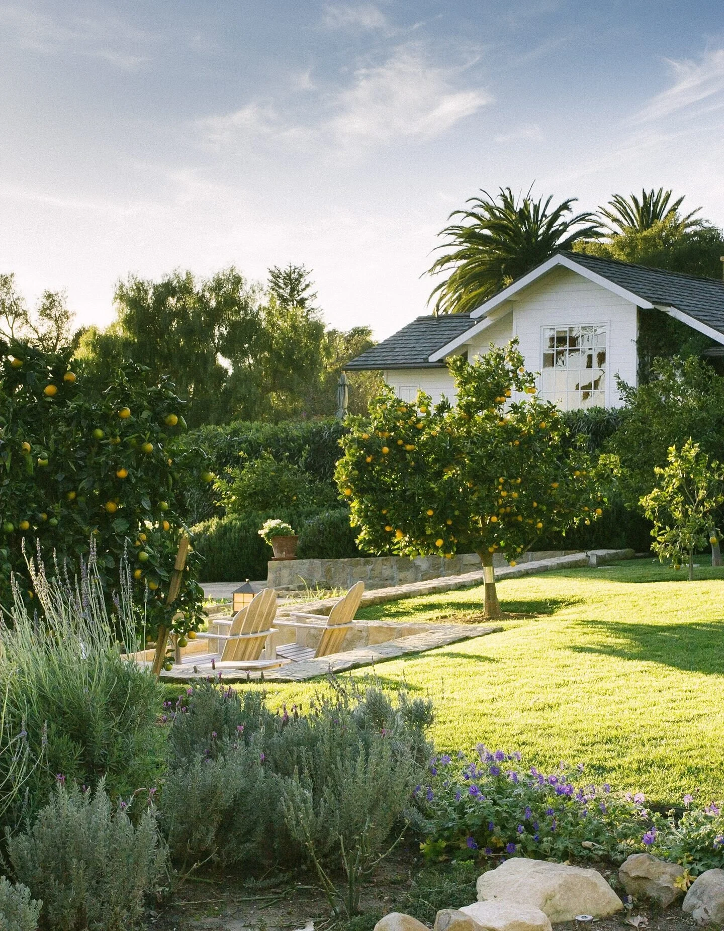 cottage-garden-citrus-trees.jpg