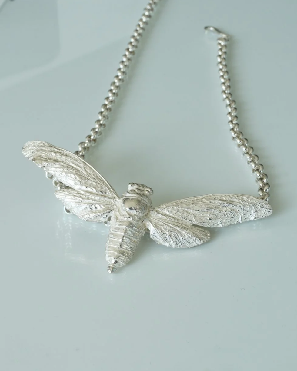Silver Cicada