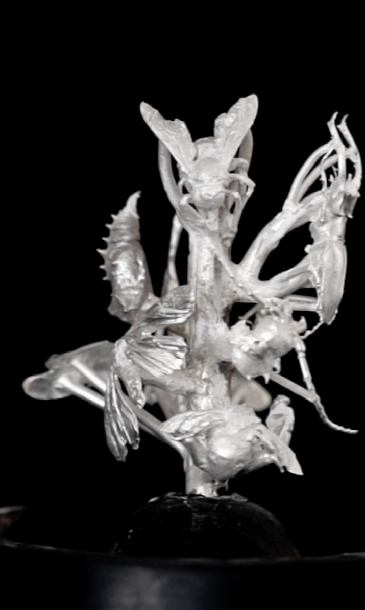 Screenshot 2026-02-02 at 1.05.41 PM.png