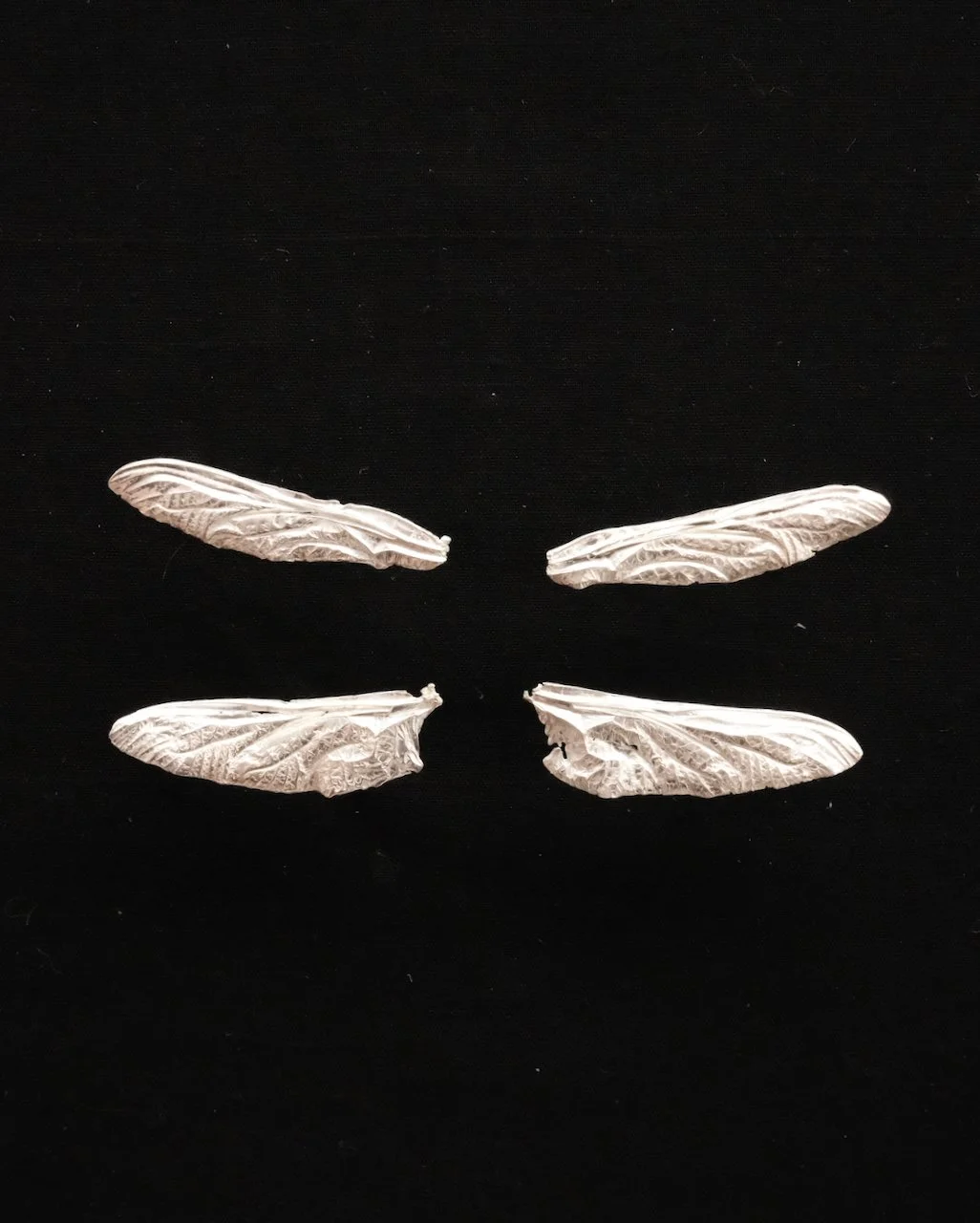 Dragonfly Wings