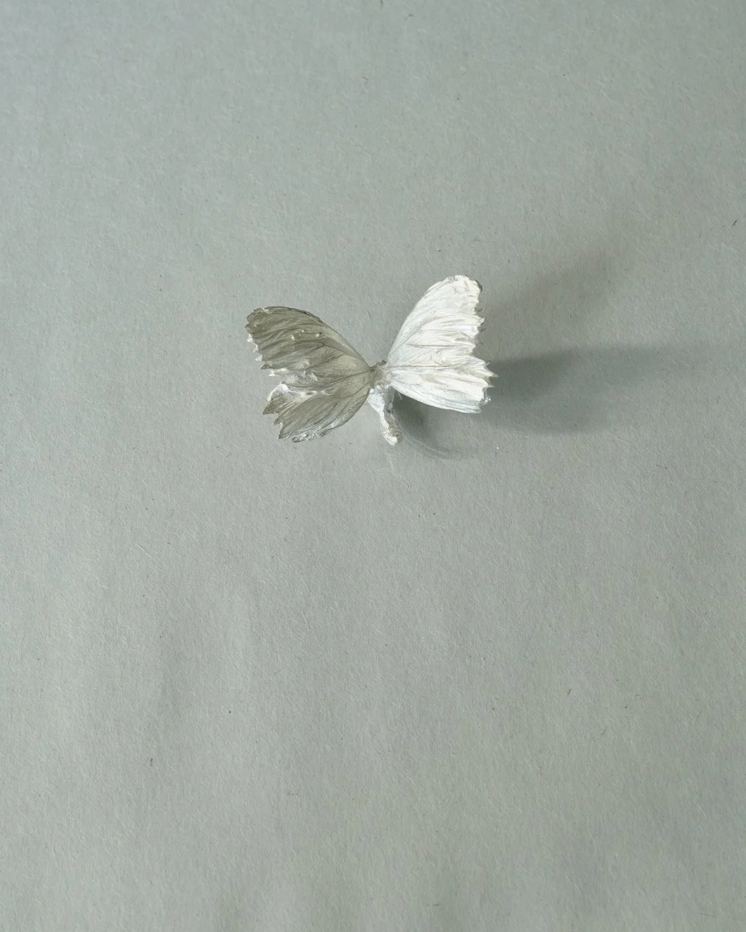 Tiny Butterfly