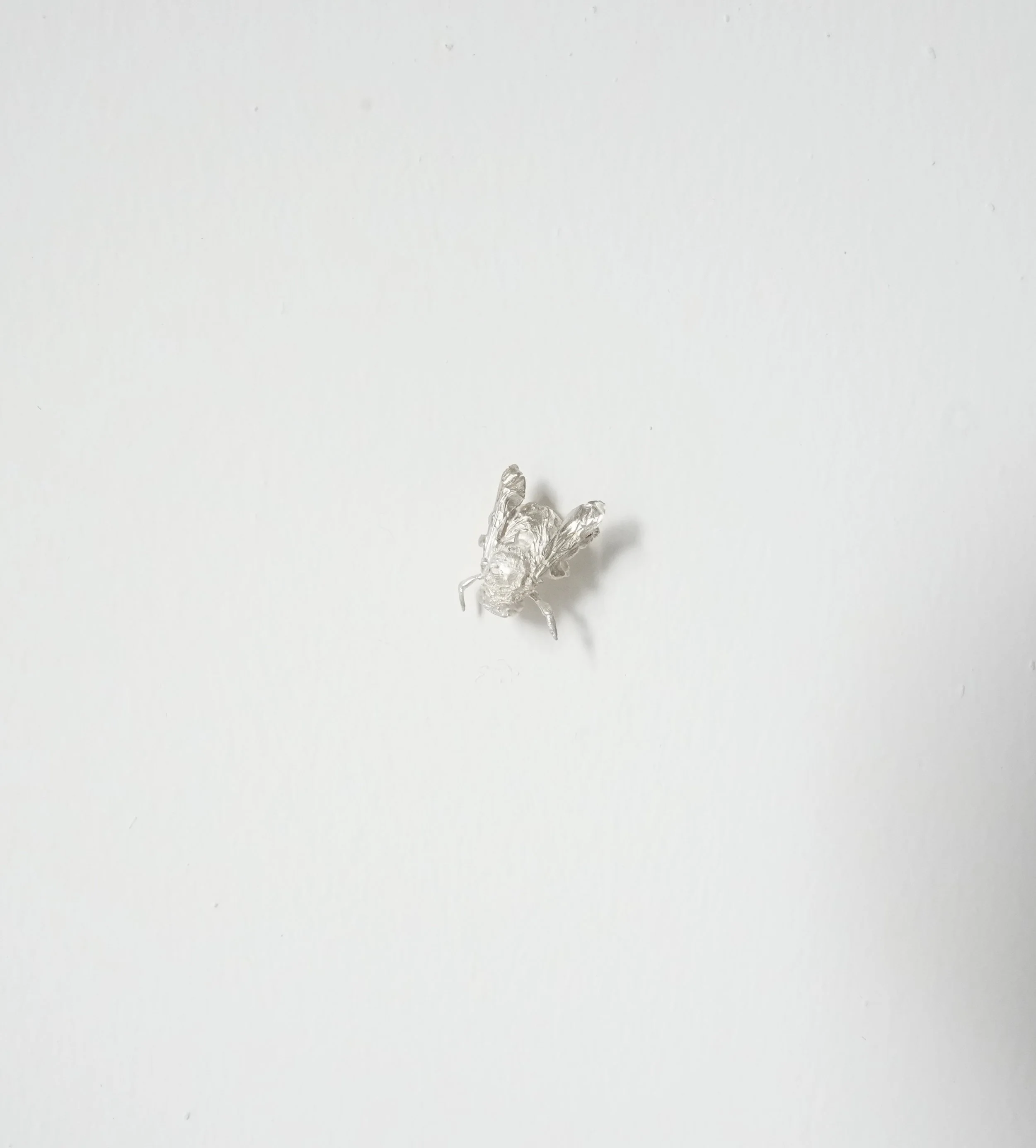 Small Fat Fly