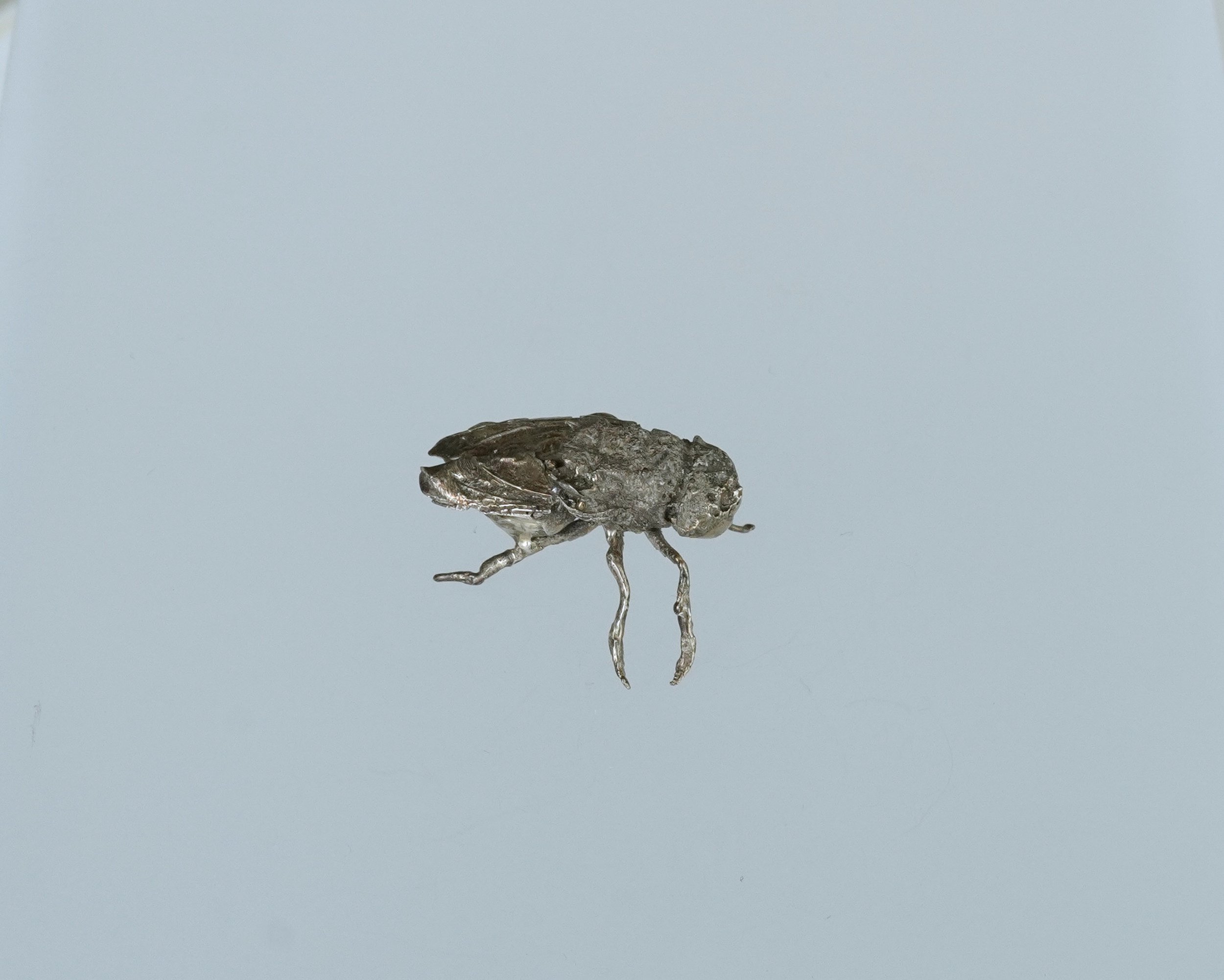 Dirty Fly