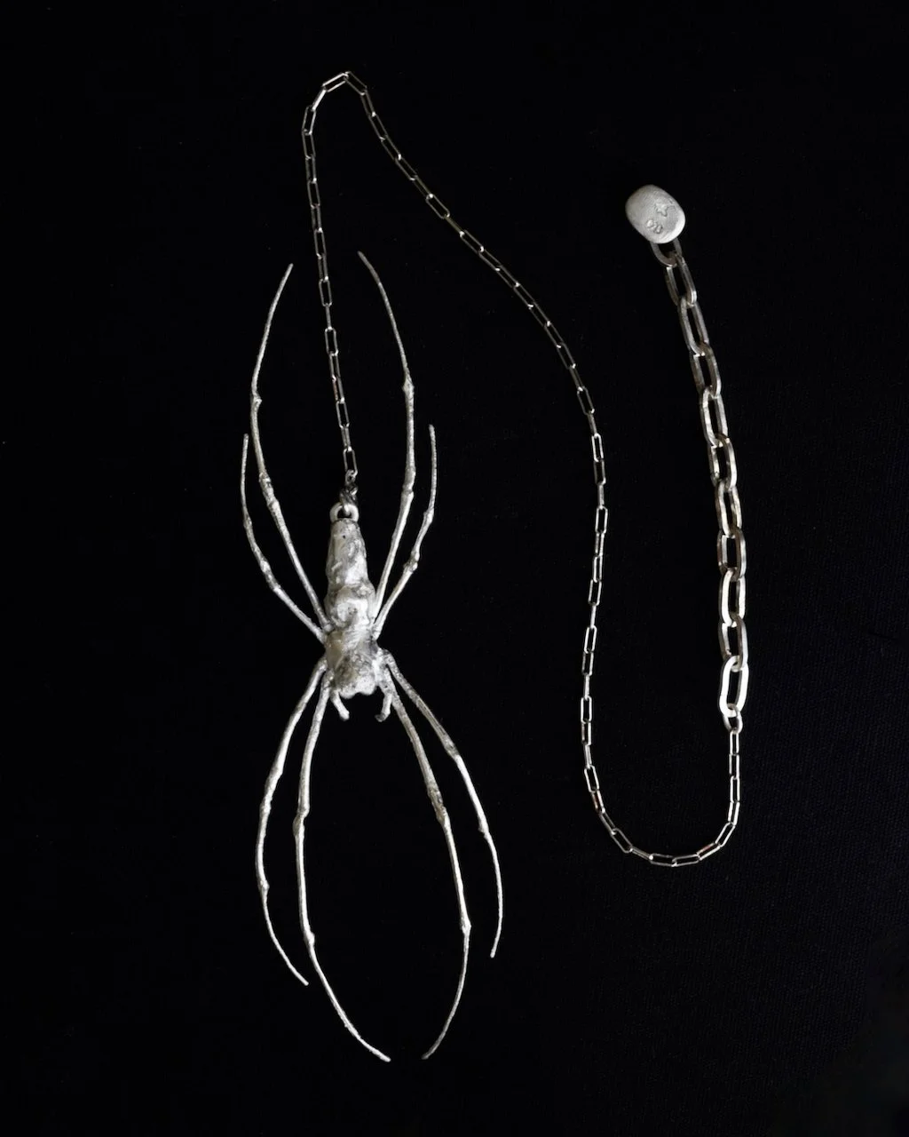Silver Orb Weaver Spider