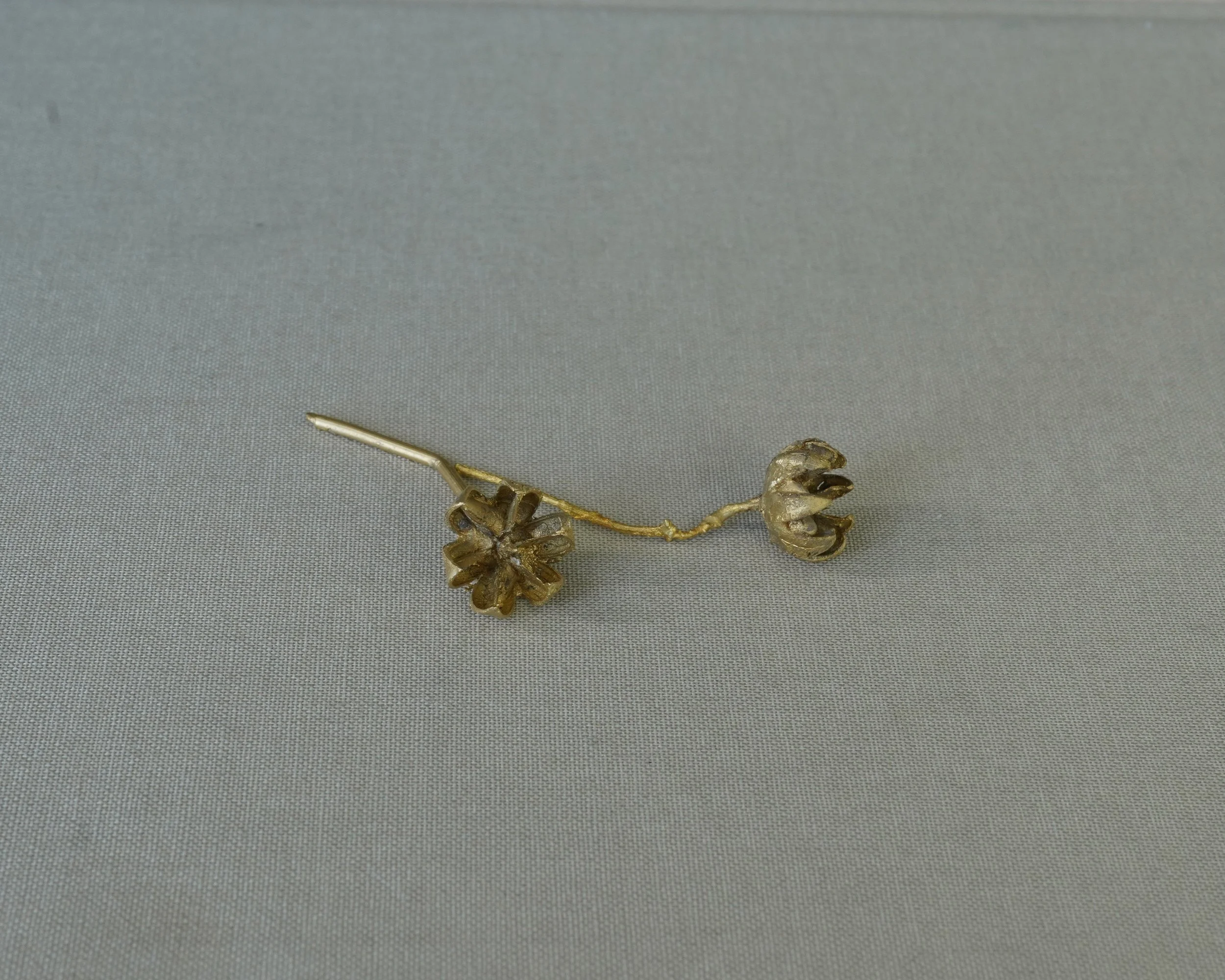 Ojai Flowers