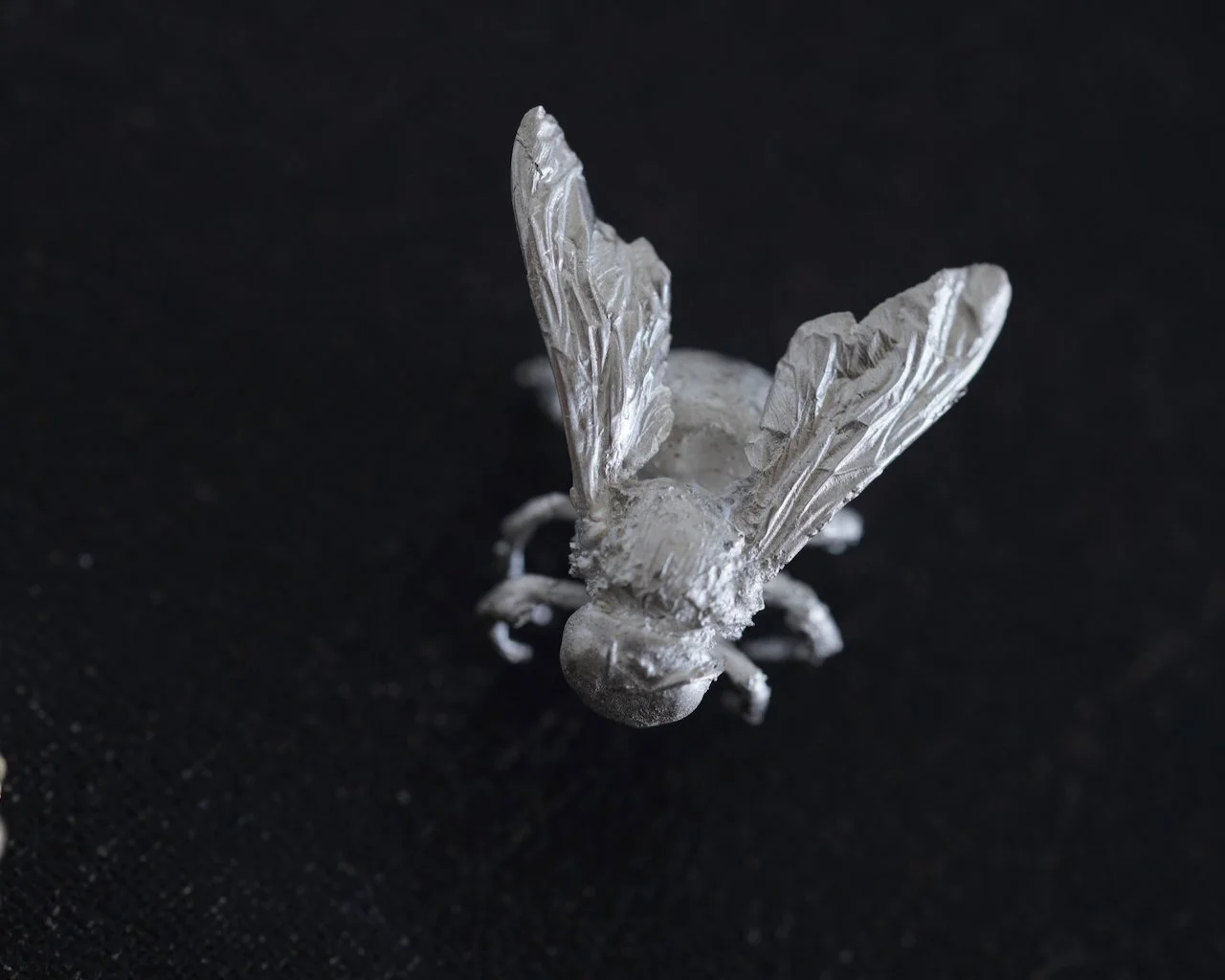 Crouching Bumble Bee