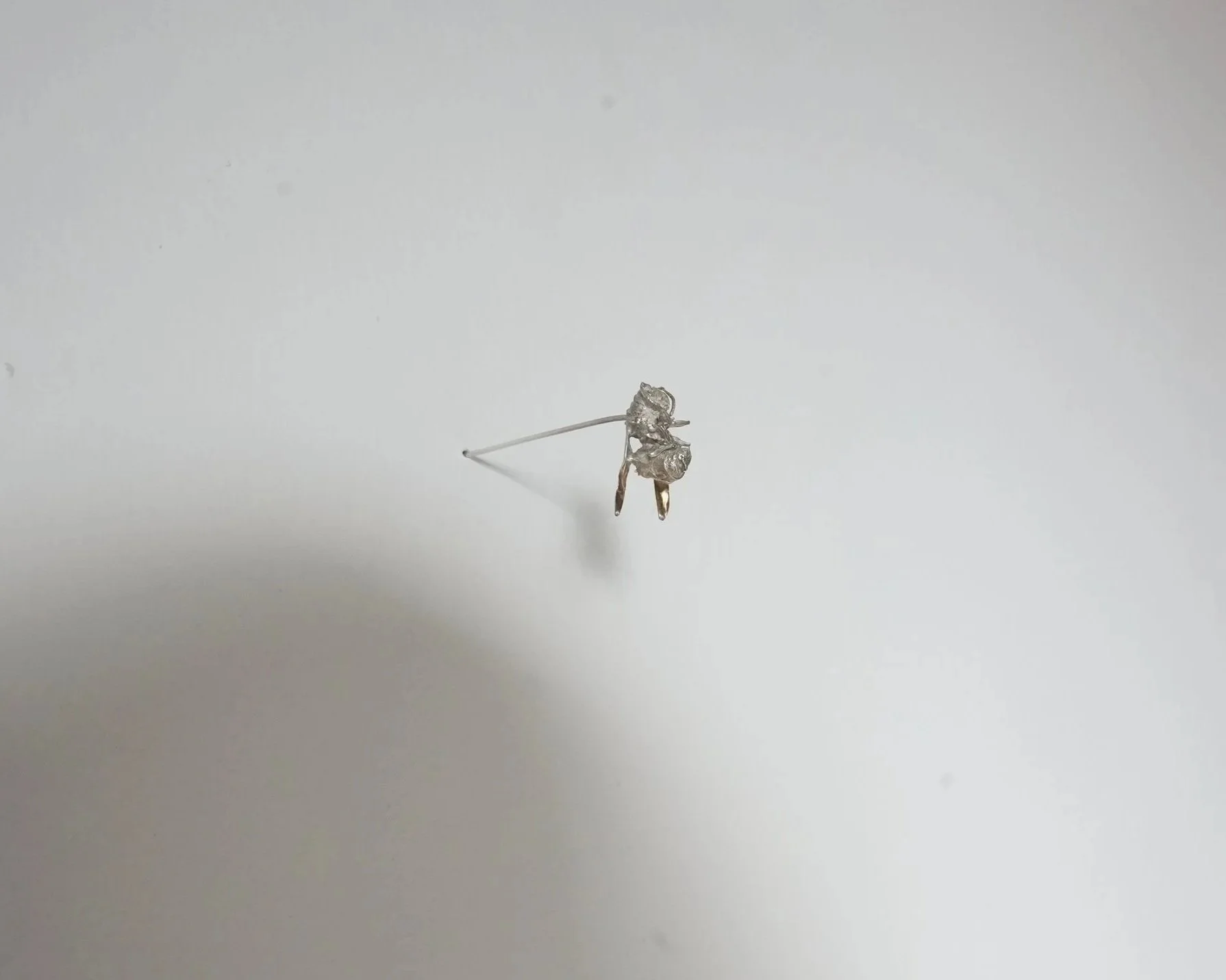 ENTOMON%F0%9F%AA%B2ARCHIVE+-+1+of+1.jpg