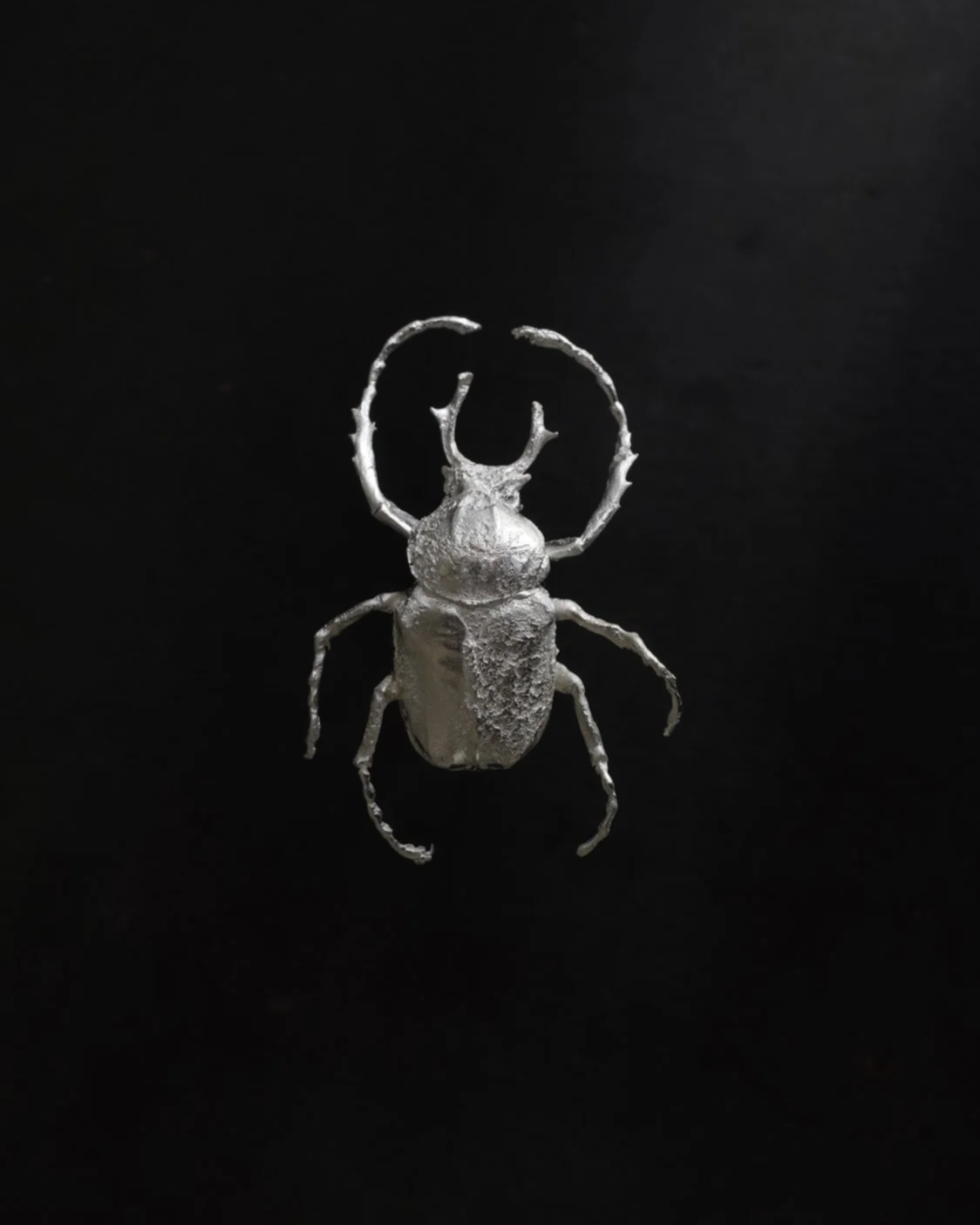 Antler Horn Beetle