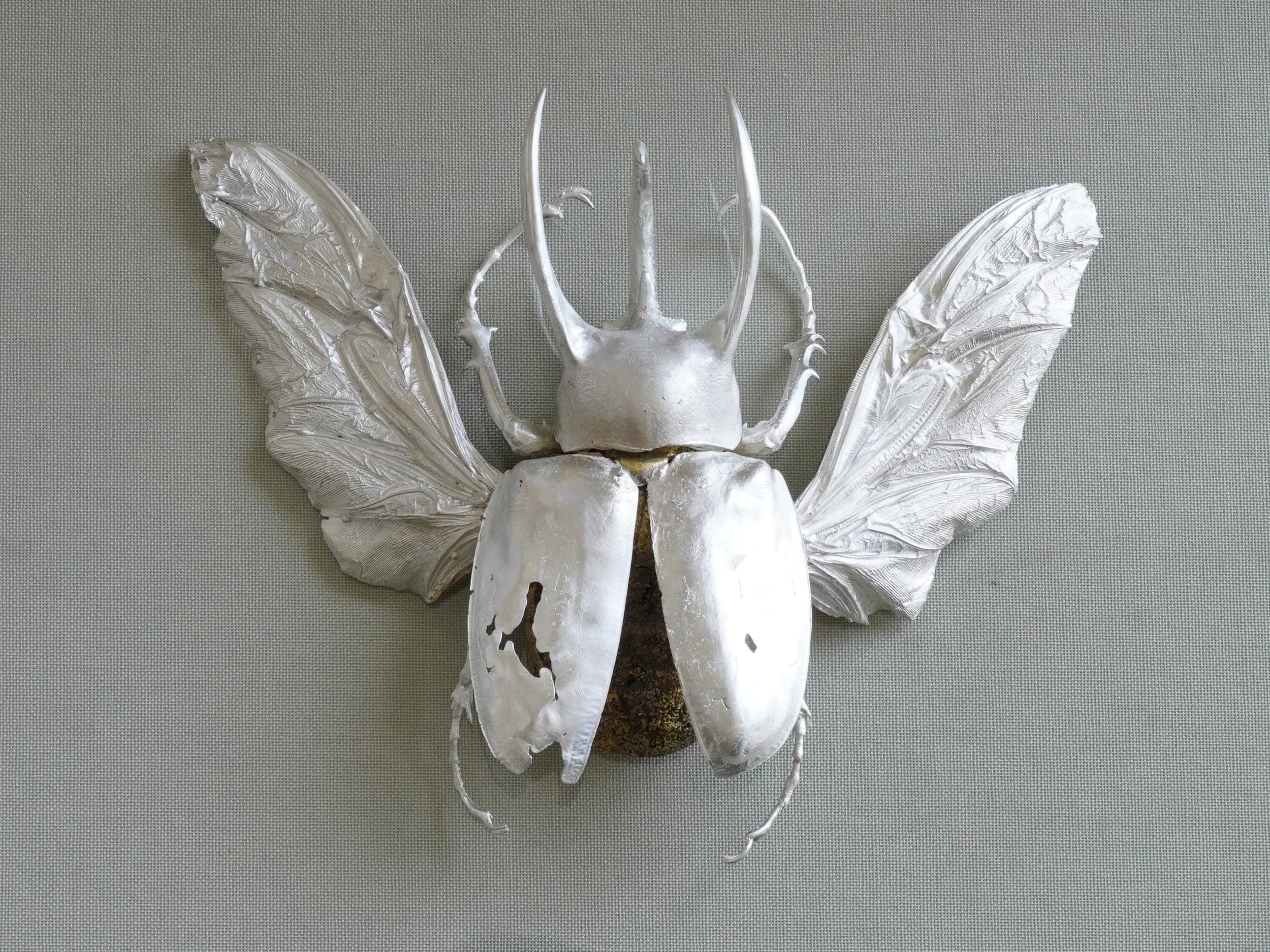 Chalcosoma Atlas Beetle