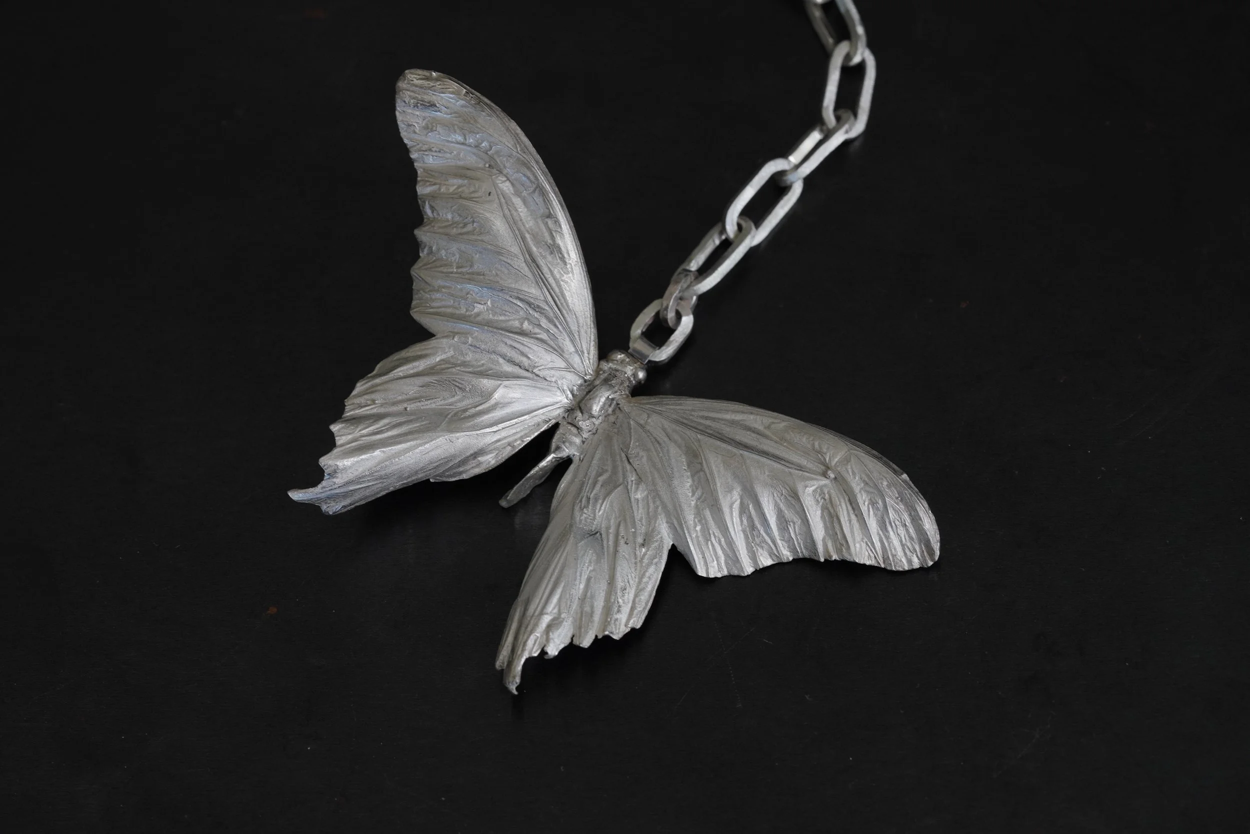 Butterfly on Chain