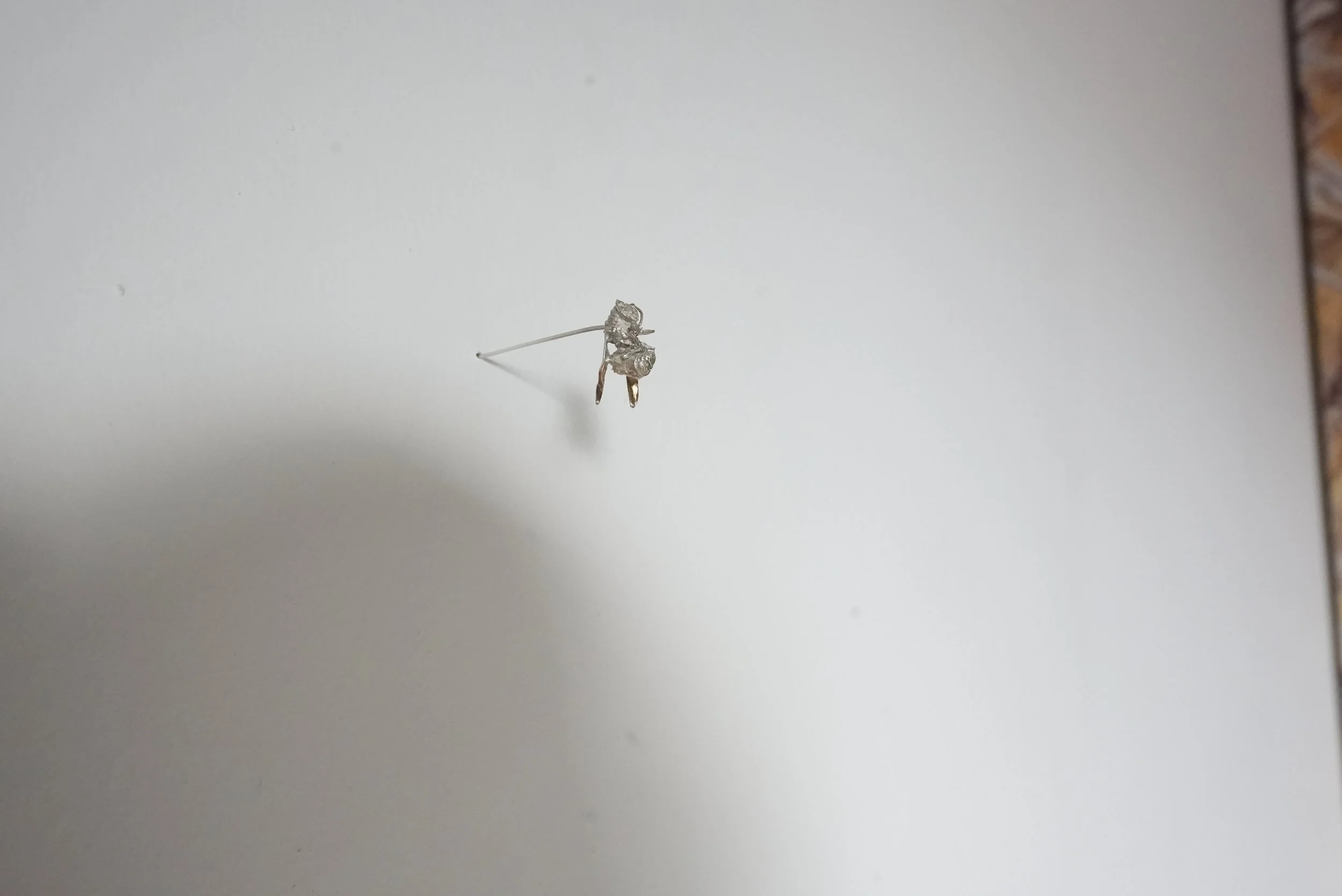 Small Bee