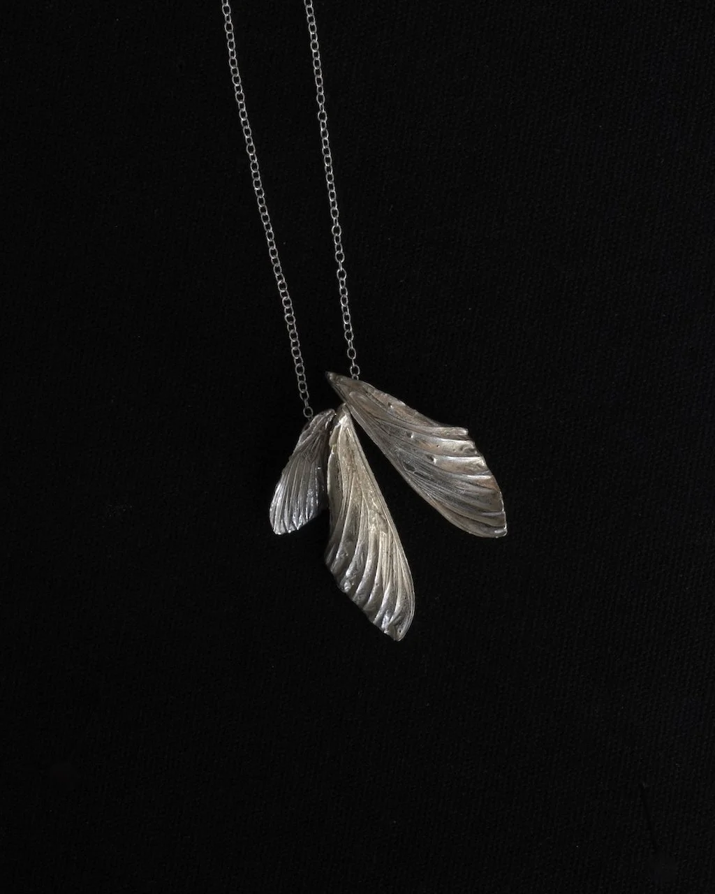 Moth Wings