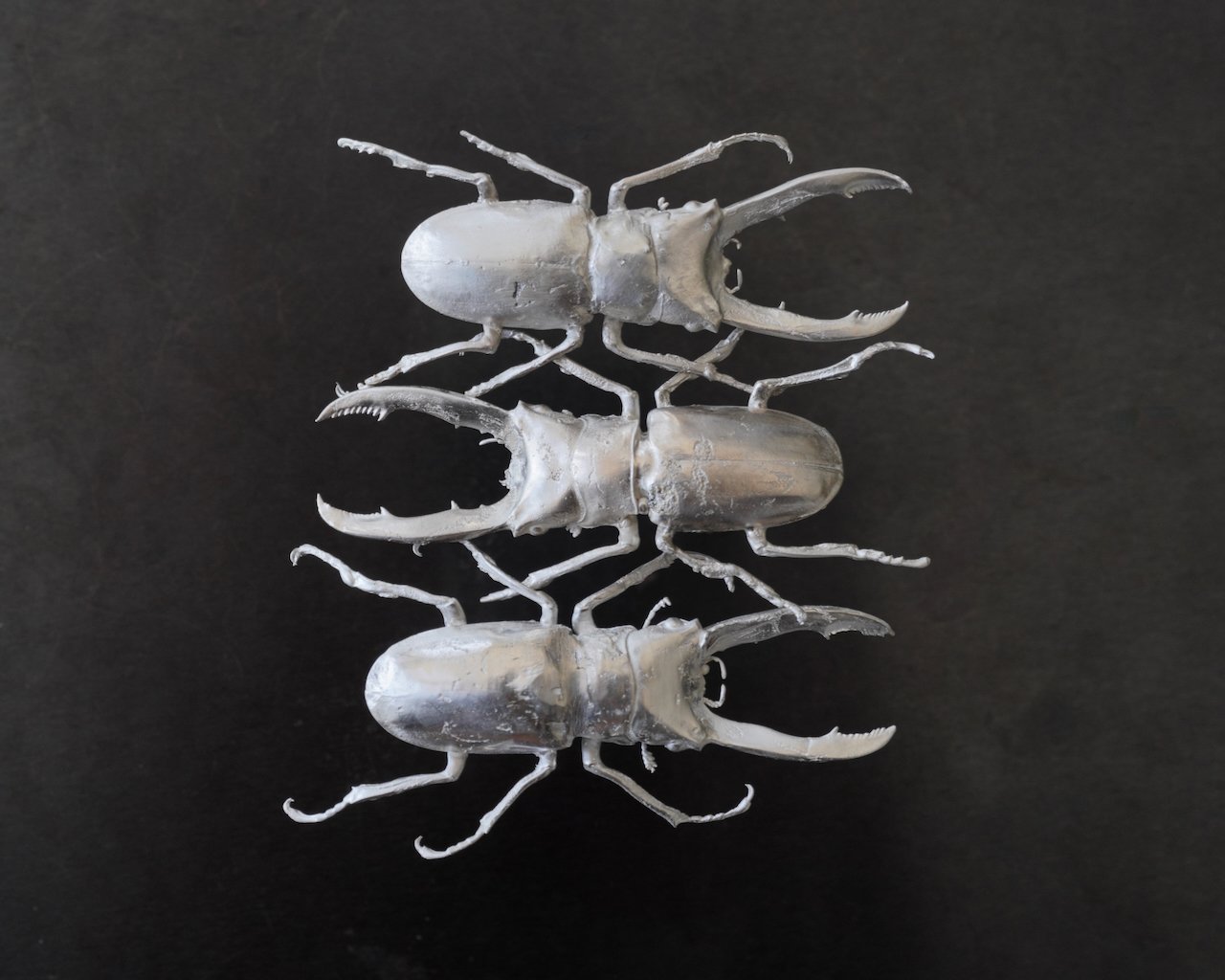 Triple Stag Beetle