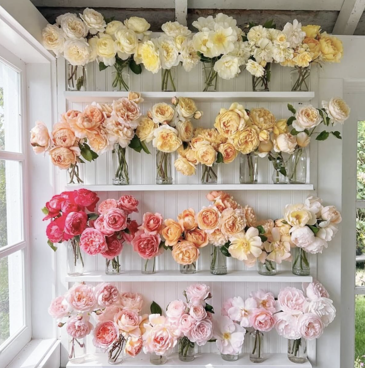 happy + bloom pop up 