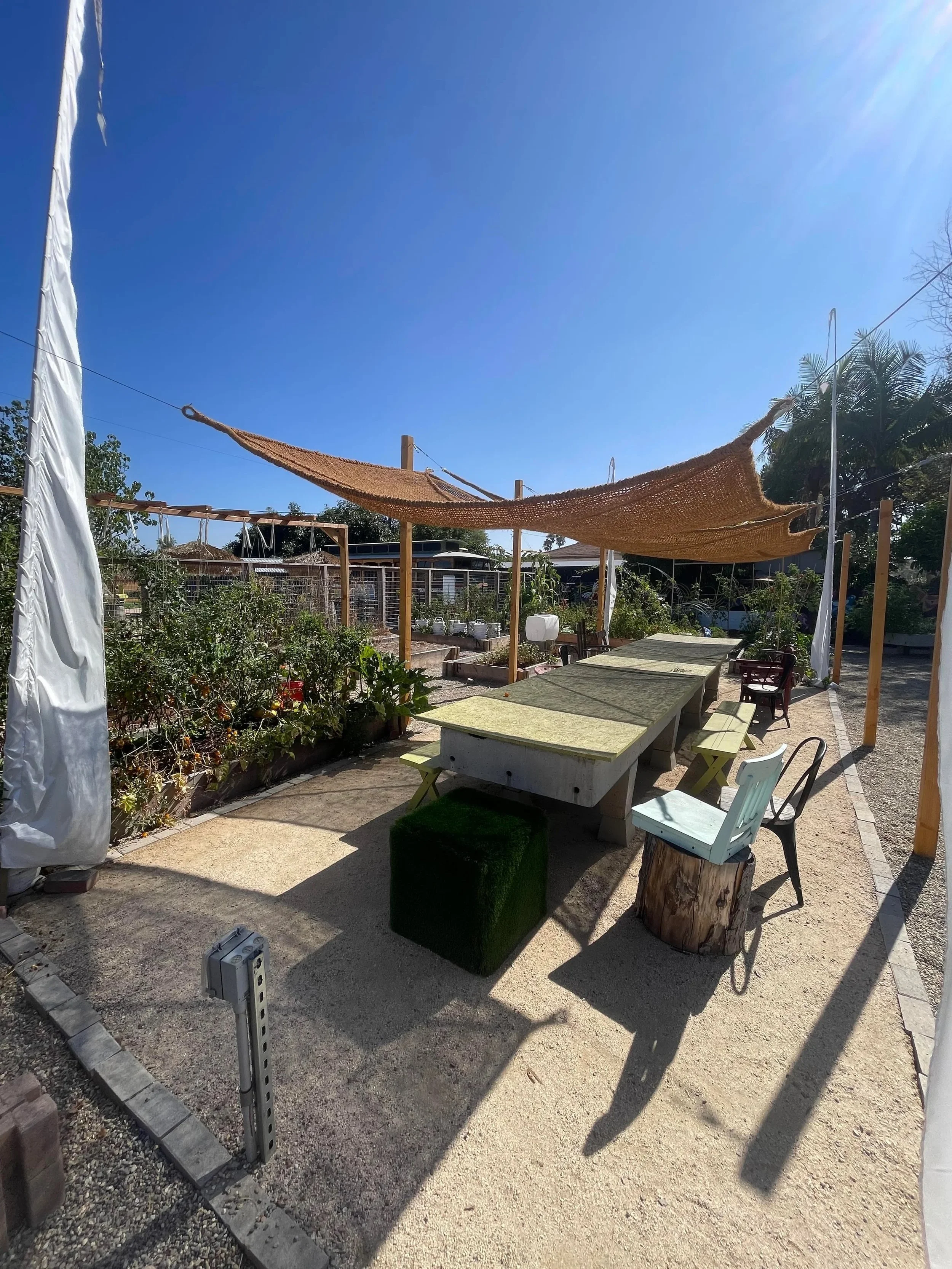 Kid's planting &amp; Composting Class