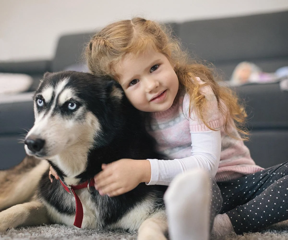 A young girl with red hair hugging a Siberian Husky dog with blue eyes on a gray carpet in a living room.