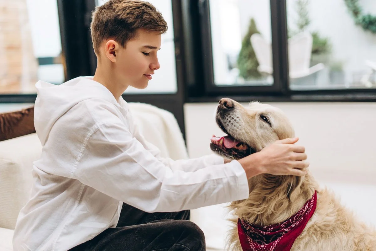 Teenage boy patting a happy  Golden Retriever dog during a psychology appointment