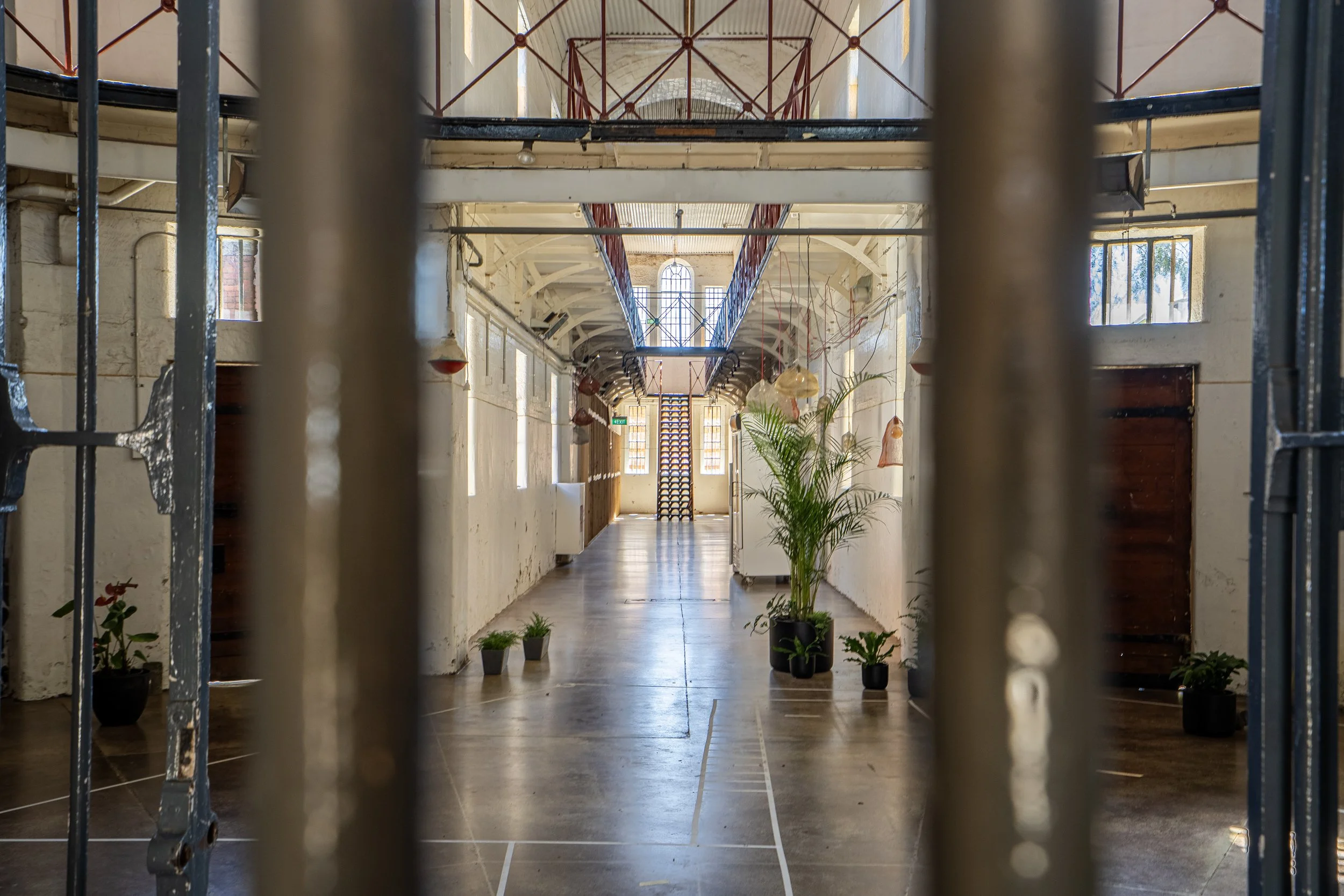 Interior of a long, industrial-style building viewed through metal bars, with potted plants along the corridor and natural light coming through windows.