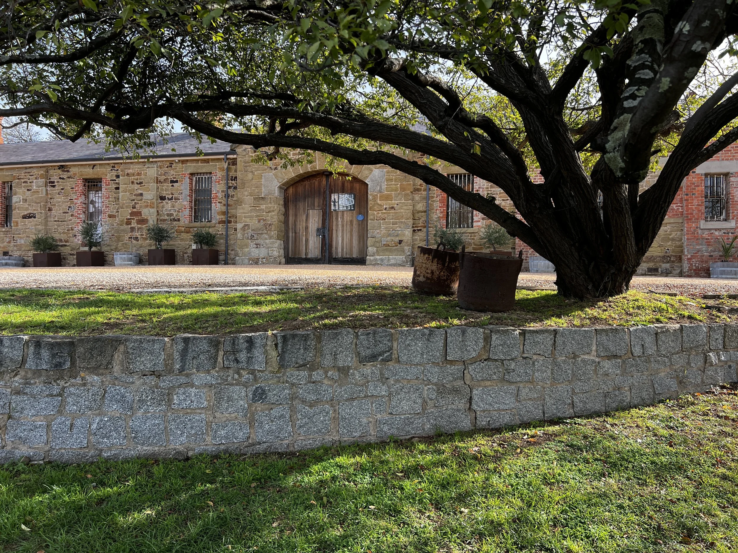 A large tree with sprawling branches and green leaves in front of a rustic brick and stone building with wooden doors, potted plants, and rusted metal barrels nearby.
