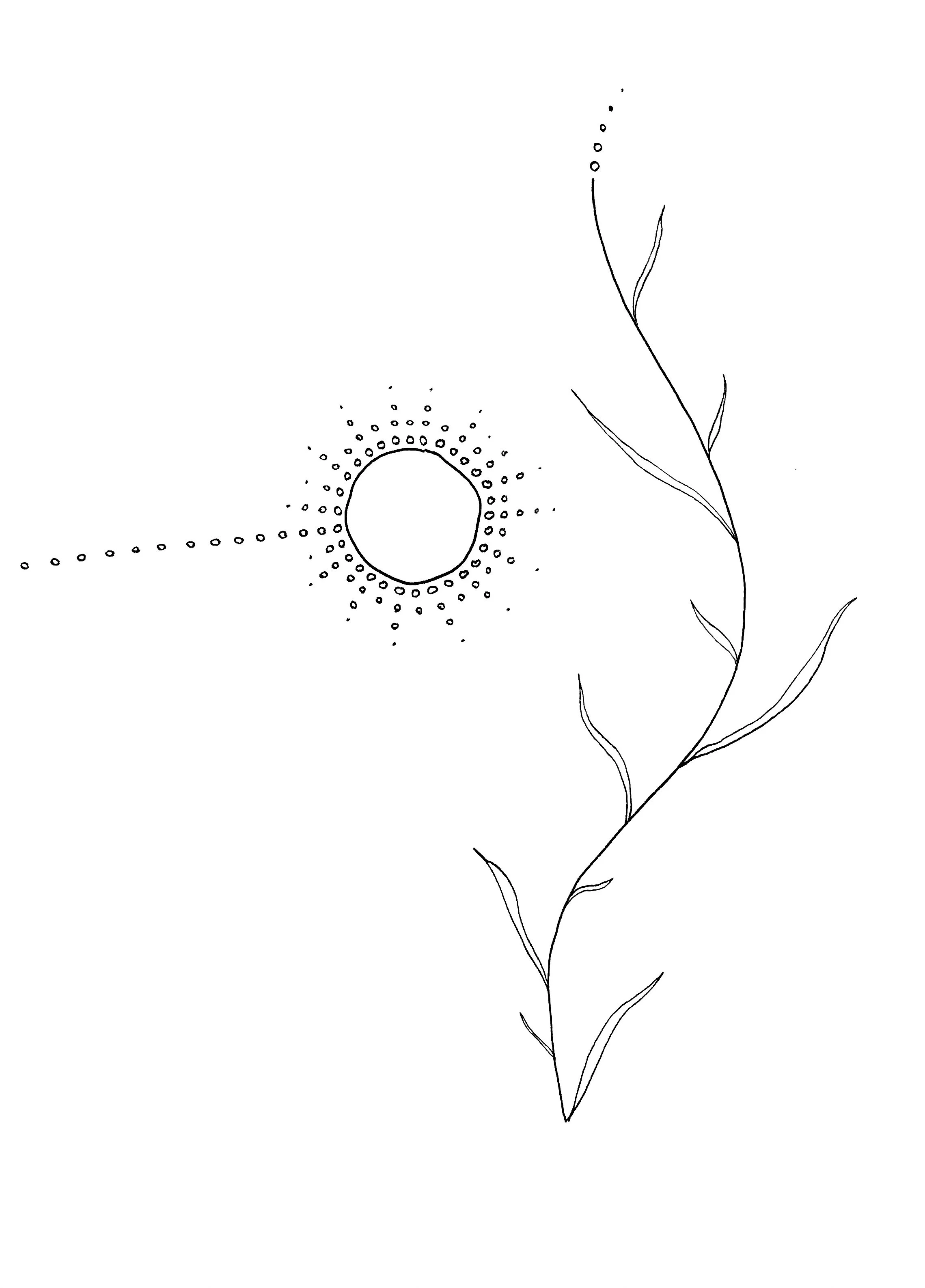 Black and white line drawing of a plant with a curled stem and leaves on the right side, and a circular geometric pattern with radiating smaller circles on the left.
