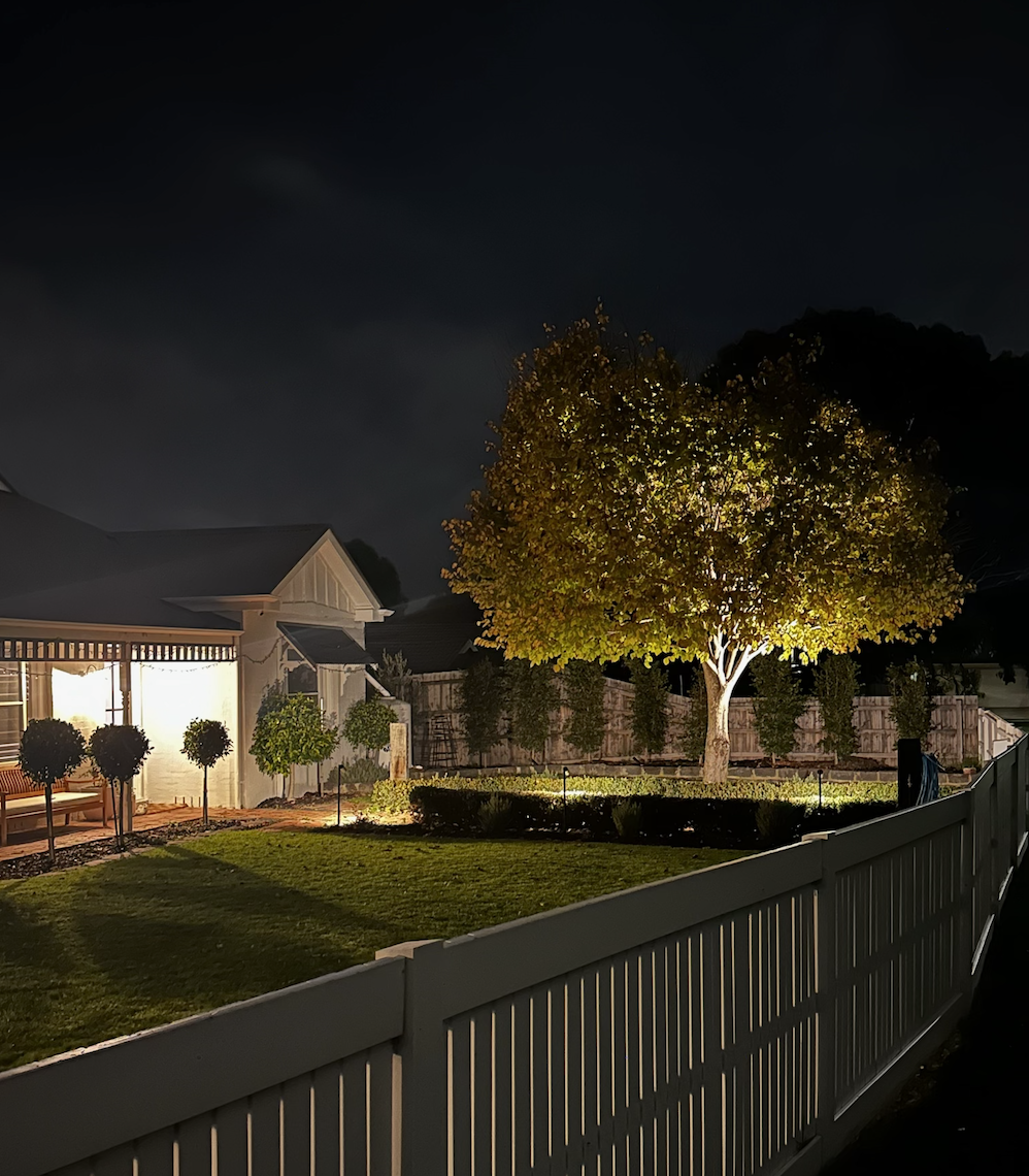 Tree lighting, feestoon lighting in garden, LED strips around pool, lighting up tree at night, lighting options. gardens at night.