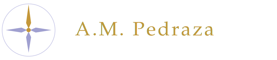 A.M. Pedraza LLC &mdash; Fractional Supply Chain &amp; Executive Coaching