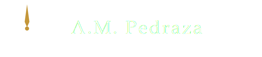 A.M. Pedraza LLC &mdash; Fractional Supply Chain &amp; Executive Coaching