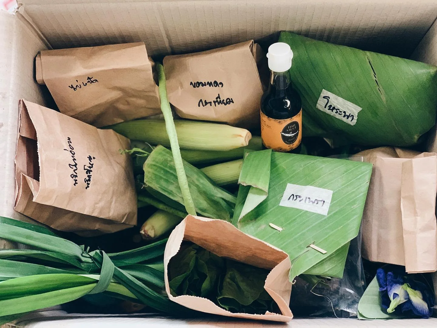 An Urban Guide to Eating in the Burning World