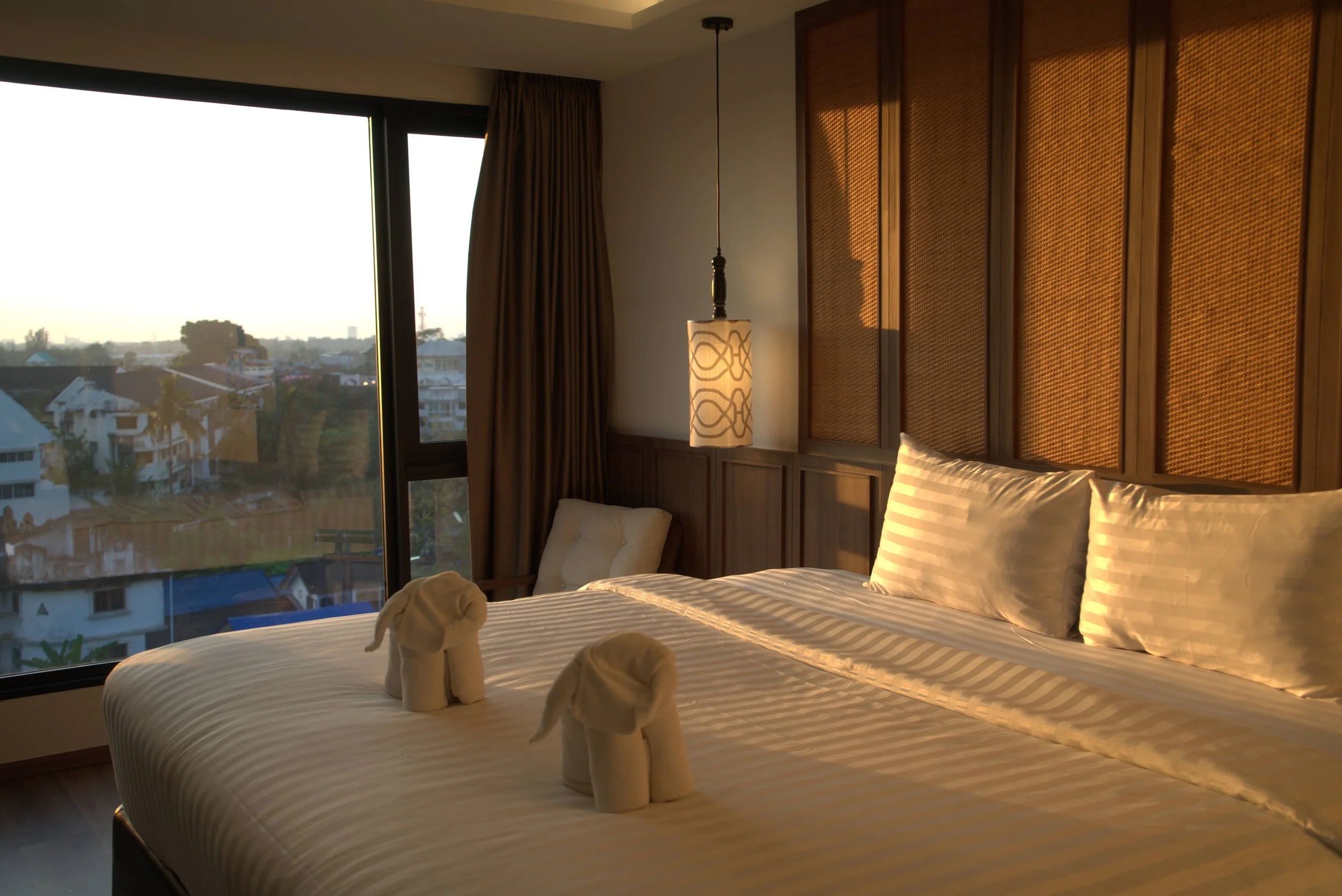 Media 1-E88FD6B2-90F7-4AE3-BDD1-D8C1772DACED.jpg