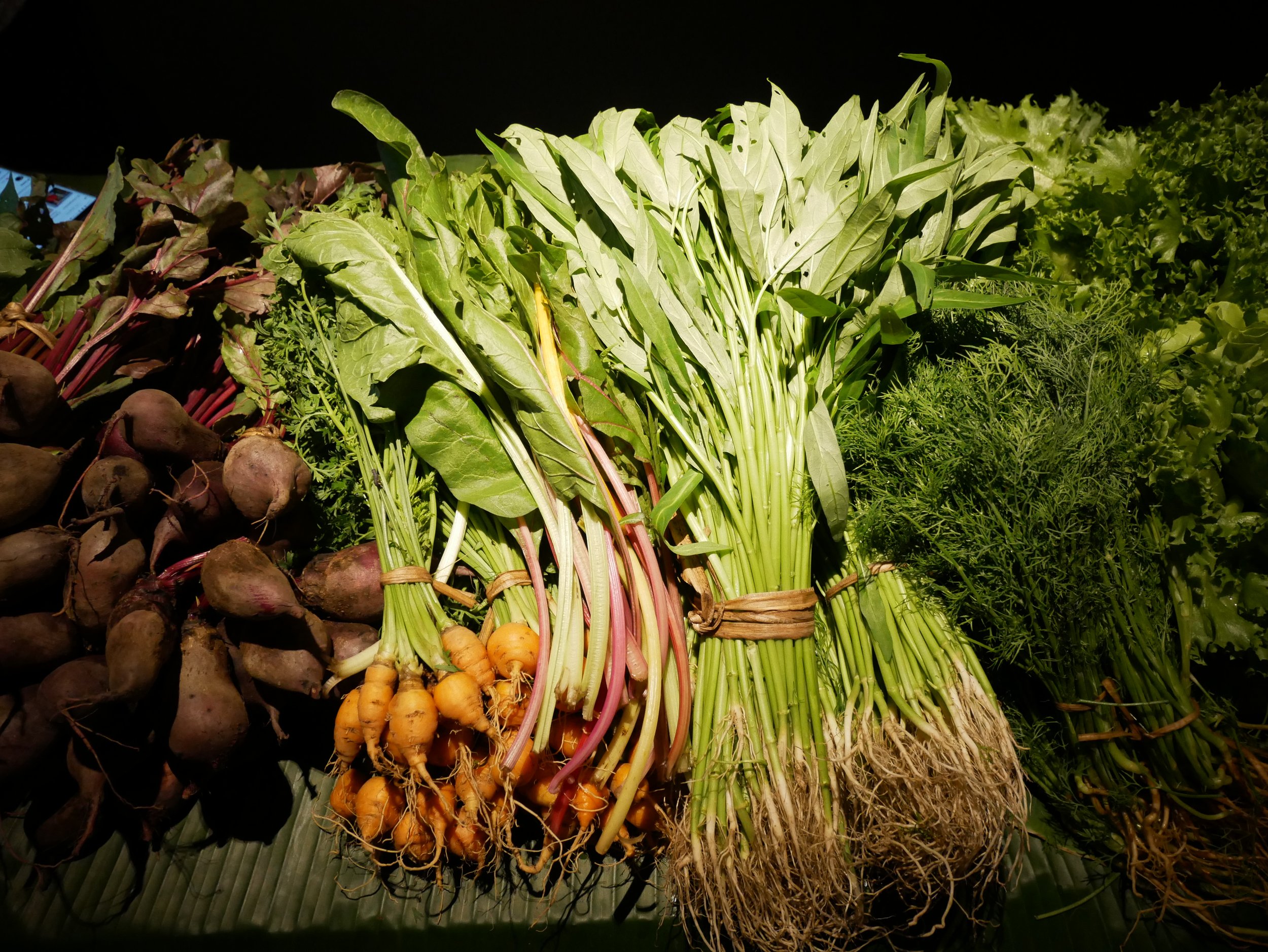 Why are you still throwing food (in this economy!?)