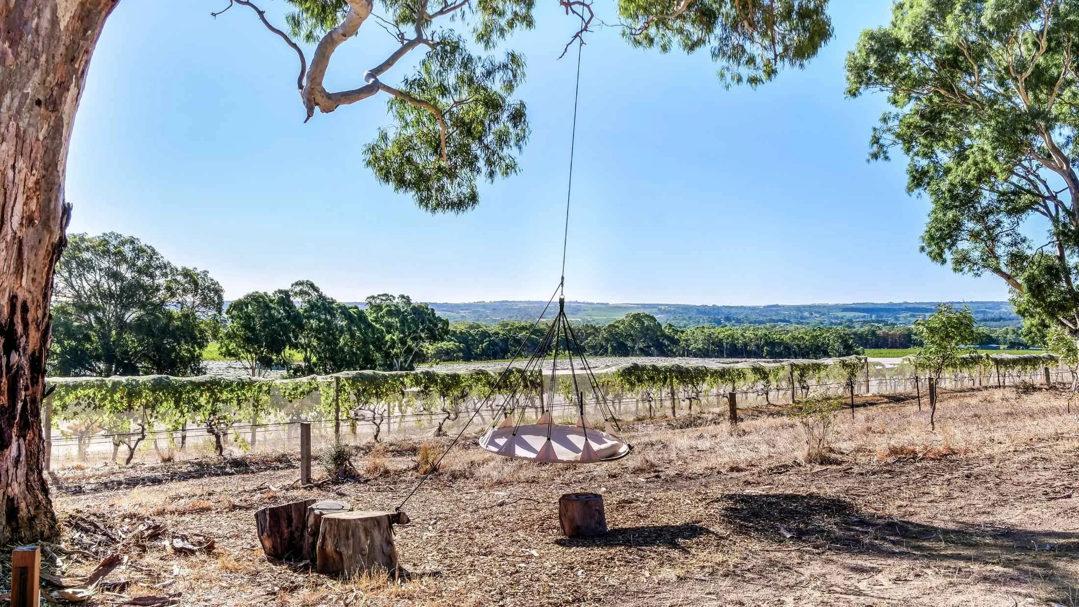 A circular tire swing hanging from a large tree, with two tree stumps on the ground nearby in a vineyard landscape under a bright blue sky.