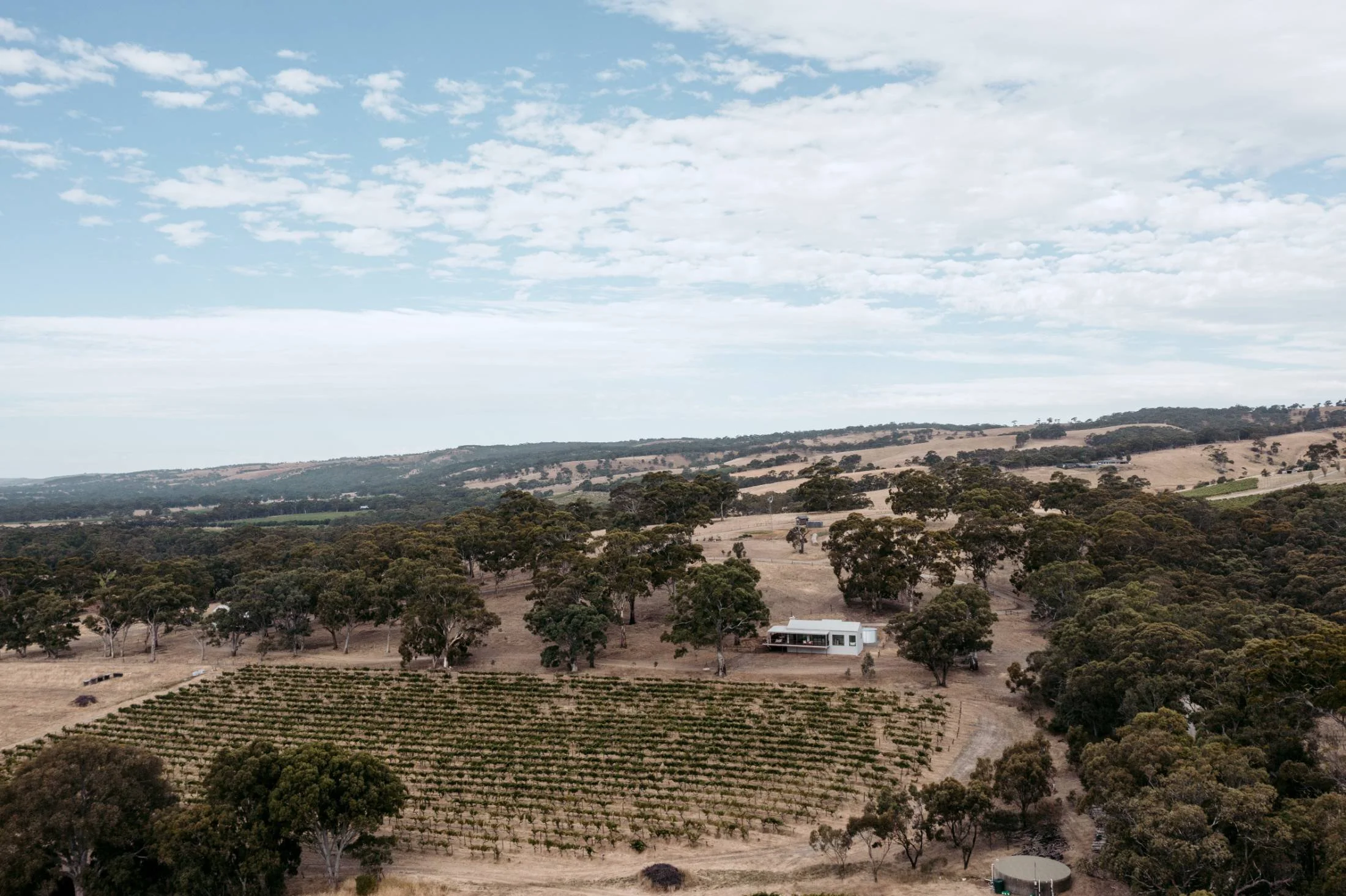 A wide view of a rural landscape with rolling hills, scattered trees, a vineyard in the foreground, and a modern house among the trees, under a partly cloudy sky.