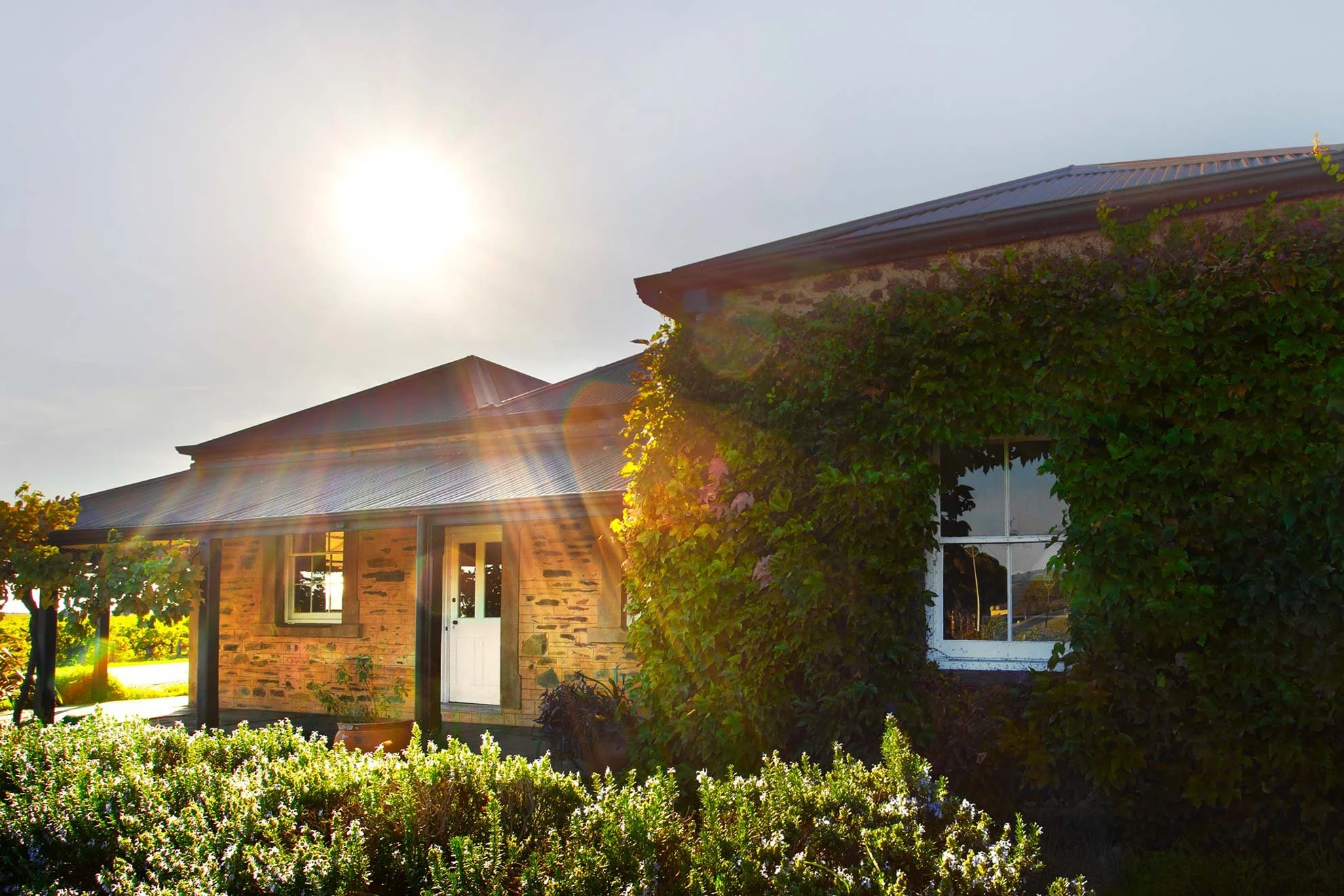 Sunlight illuminating a house surrounded by greenery and bushes.