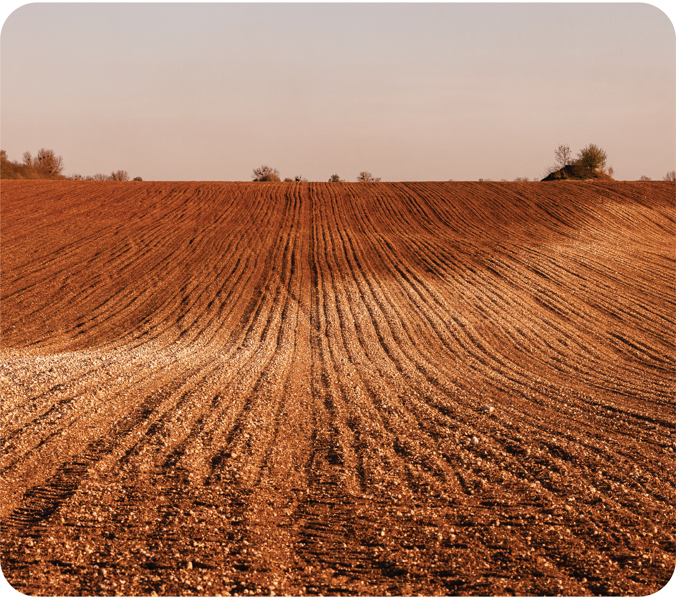 A large, plowed farmland with evenly spaced furrows, under a pale sky, with some sparse trees on the horizon.