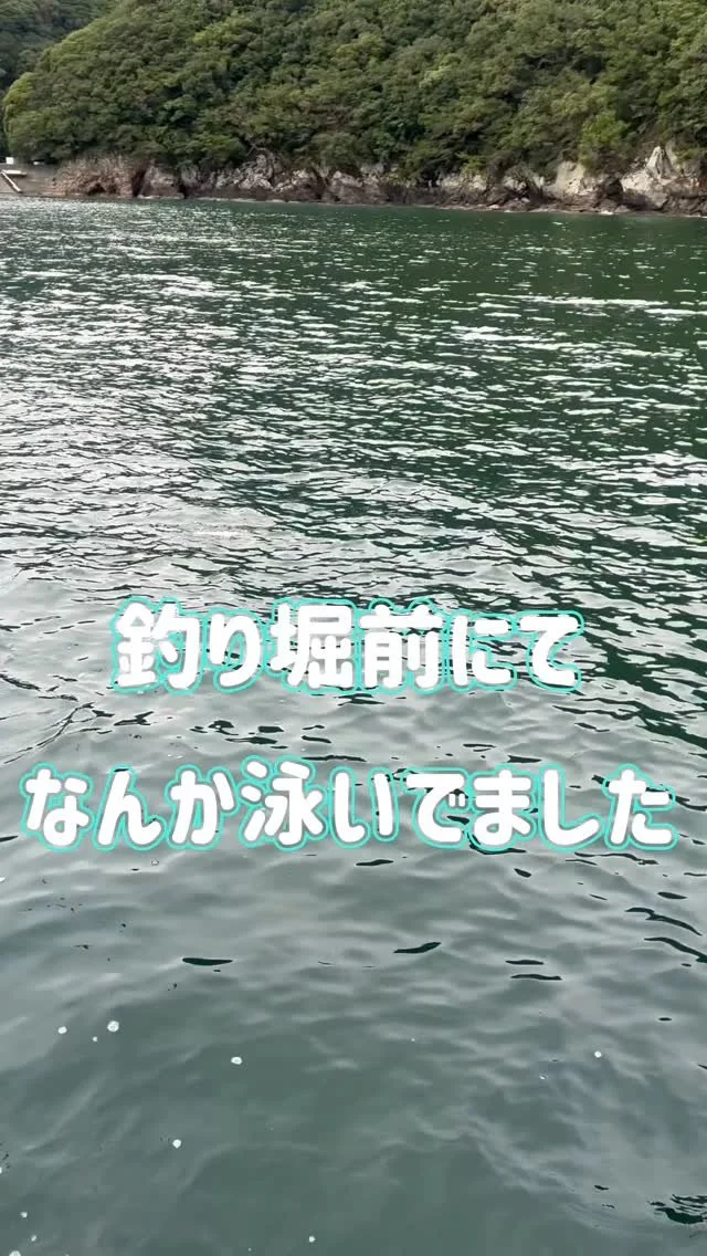 Slide 9