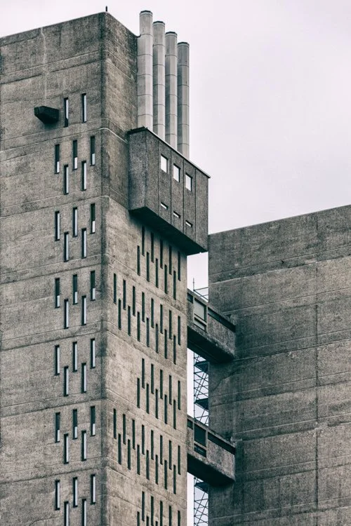 Damien Looney_00001_11.jpg