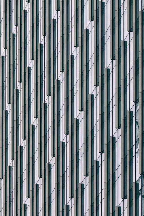 Damien Looney_00002.jpg