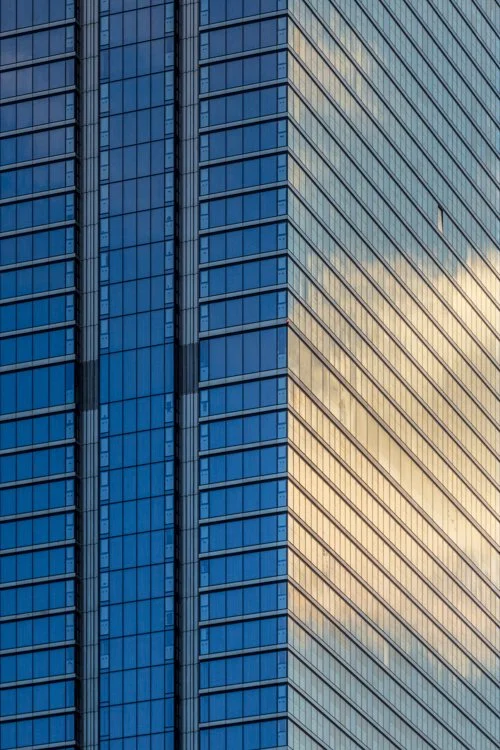 Damien Looney_00001_5.jpg