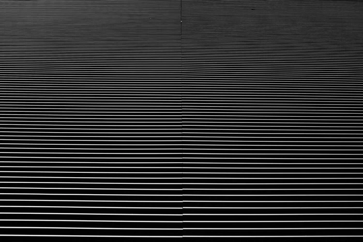 Damien Looney_00001Damien Looney_3.jpg