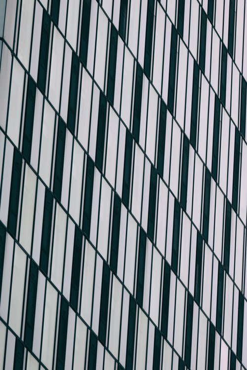 Damien Looney_00001_9.jpg