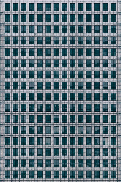 Damien Looney_00001_1.jpg